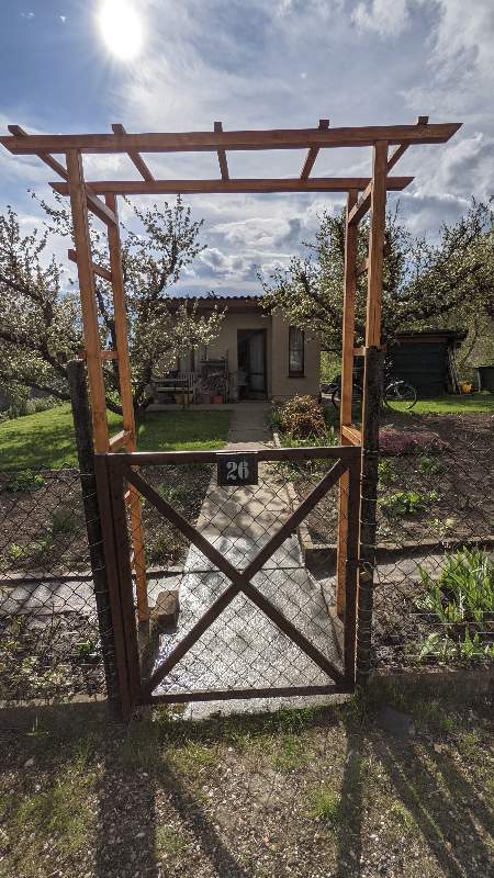 Rosenbogen im Garten 26