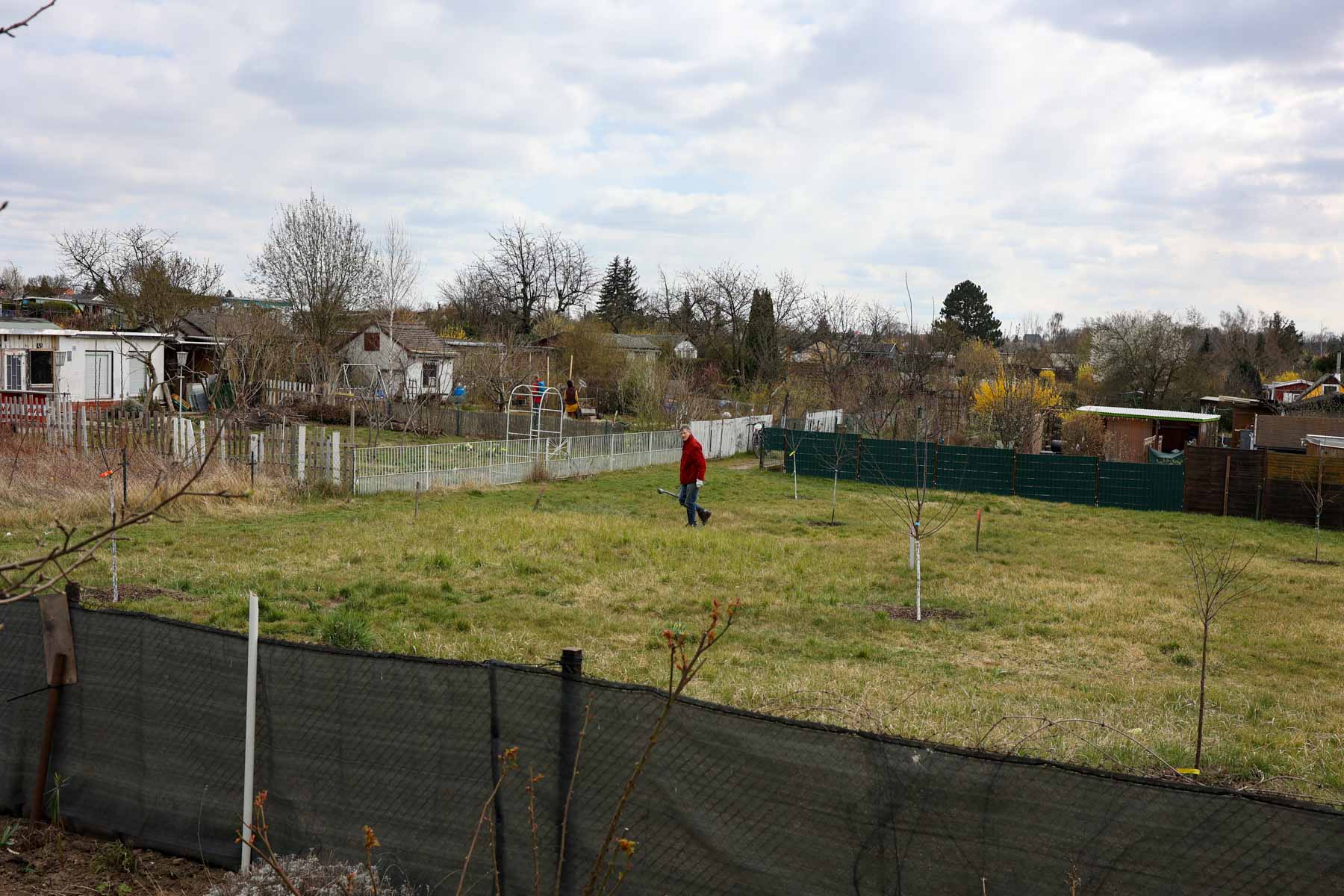Vorn rechts gab es im WInter noch eine Nachpflanzung