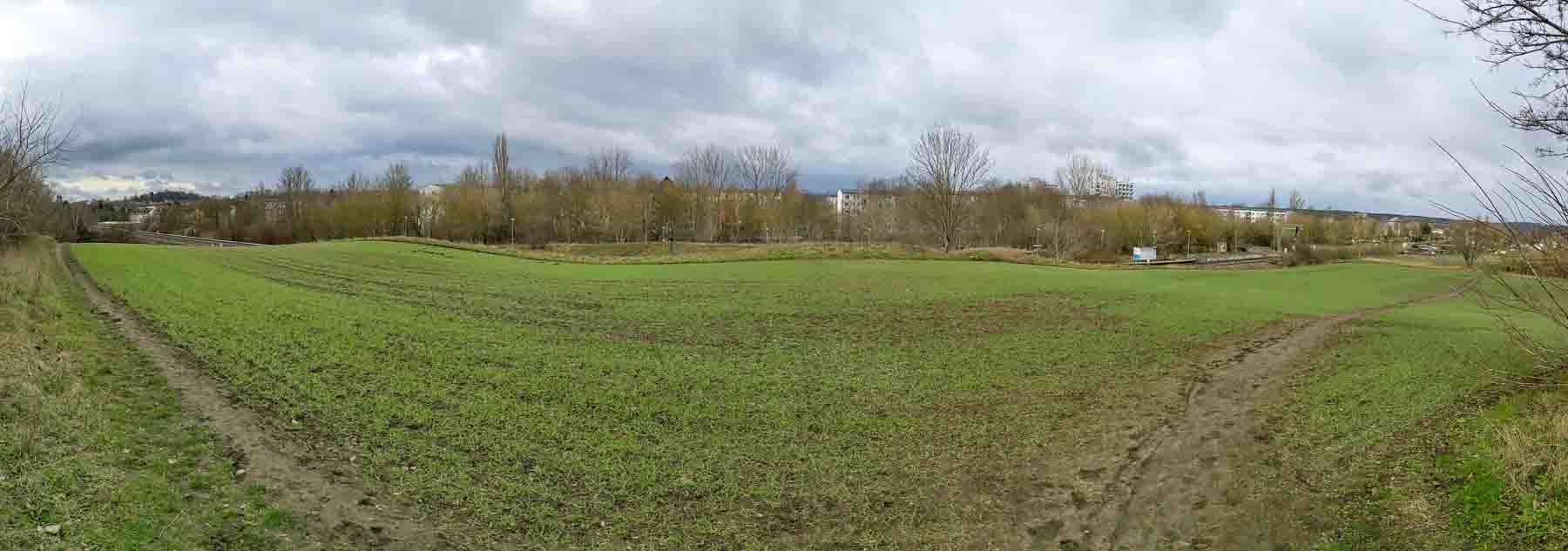 Wäldchen in Trotha 2023