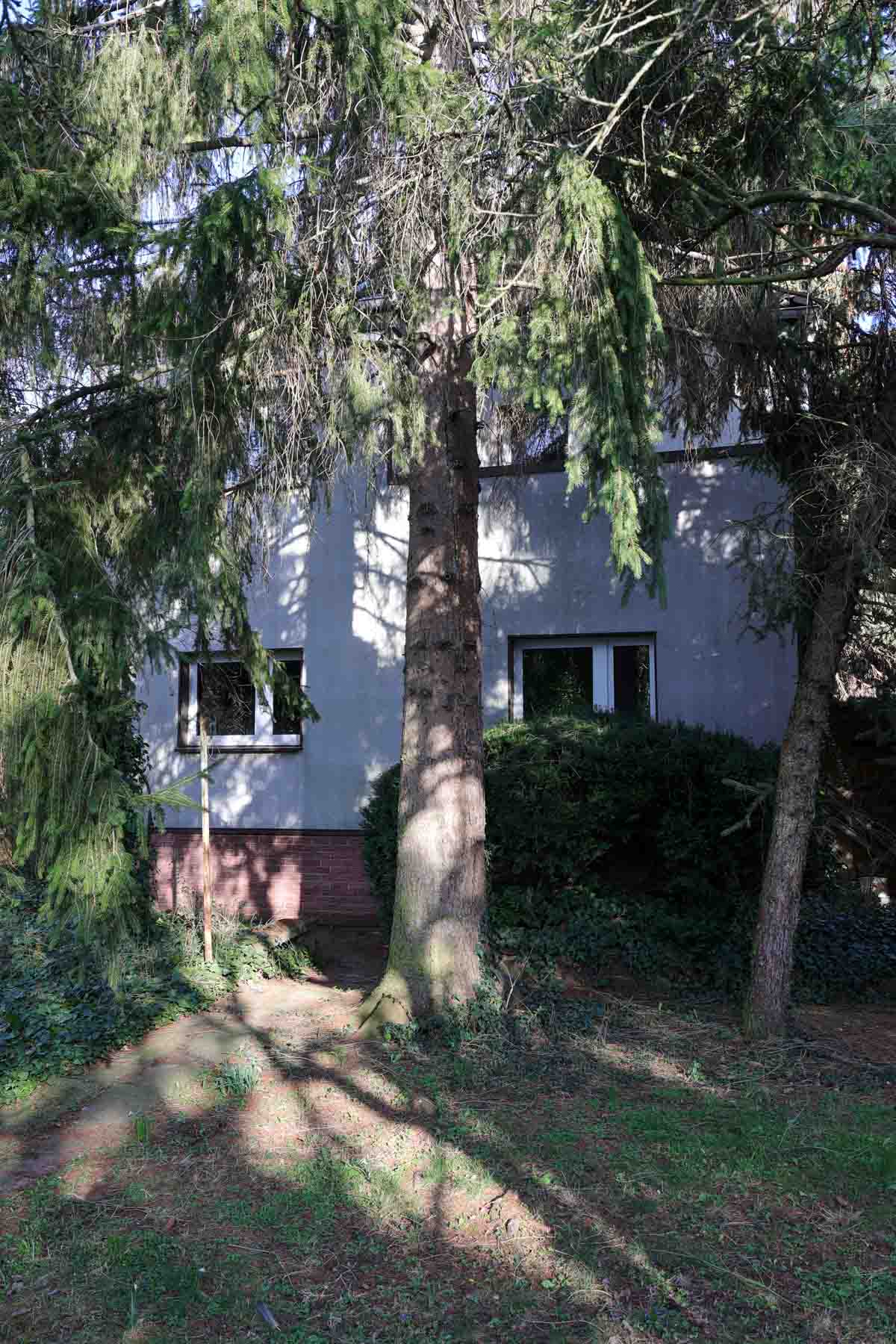 Das Haus im Wald