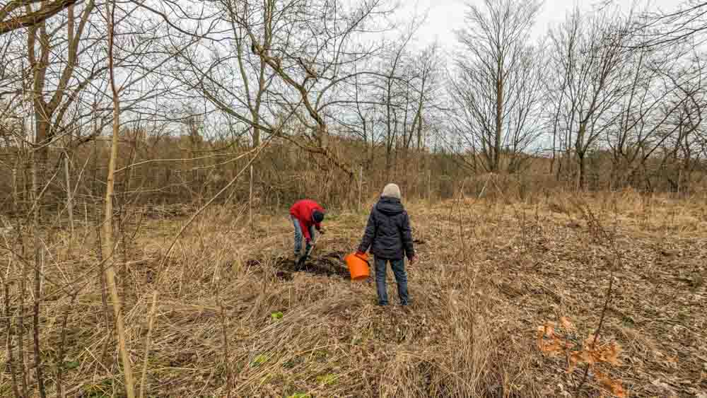 Bäume pflanzen (2)