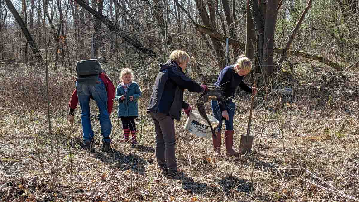 Schonung 3. Pflanzaktion