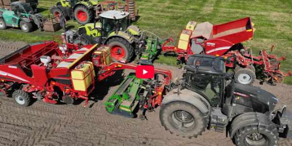 Kartoffeln pflanzen - 400 ha