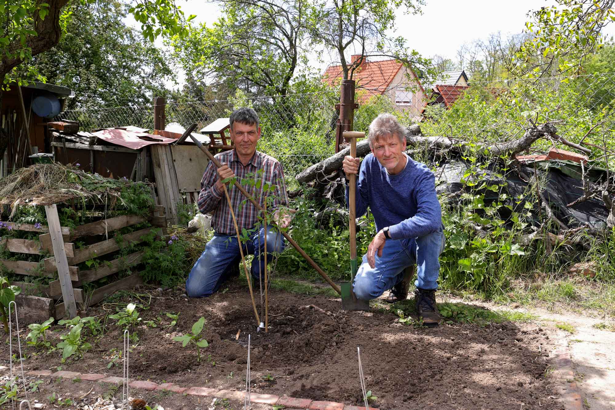 Tausendblütenbaum II.