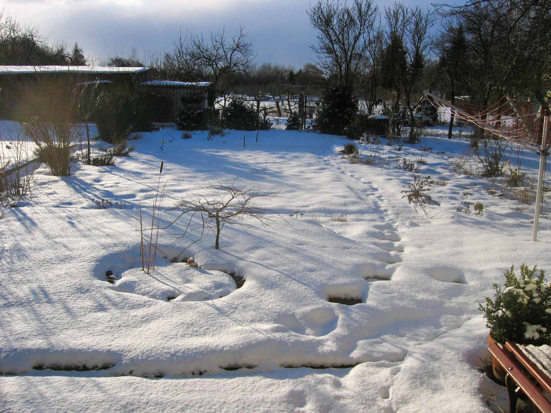 Winter 2005