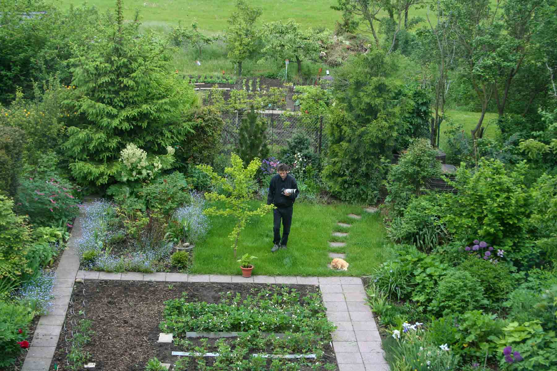 Garten Klopstockstraße 89a - Mai 2008