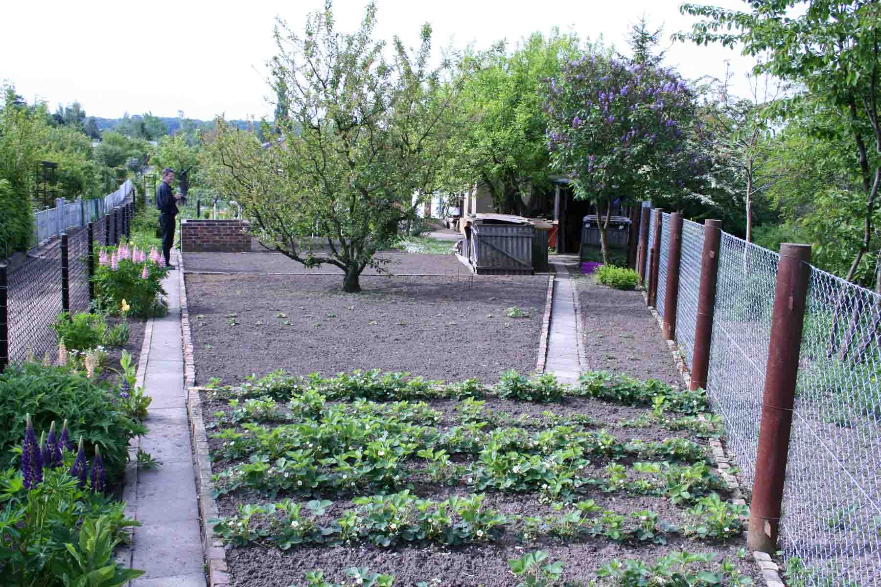 Im Vergleich im Jahr 2005