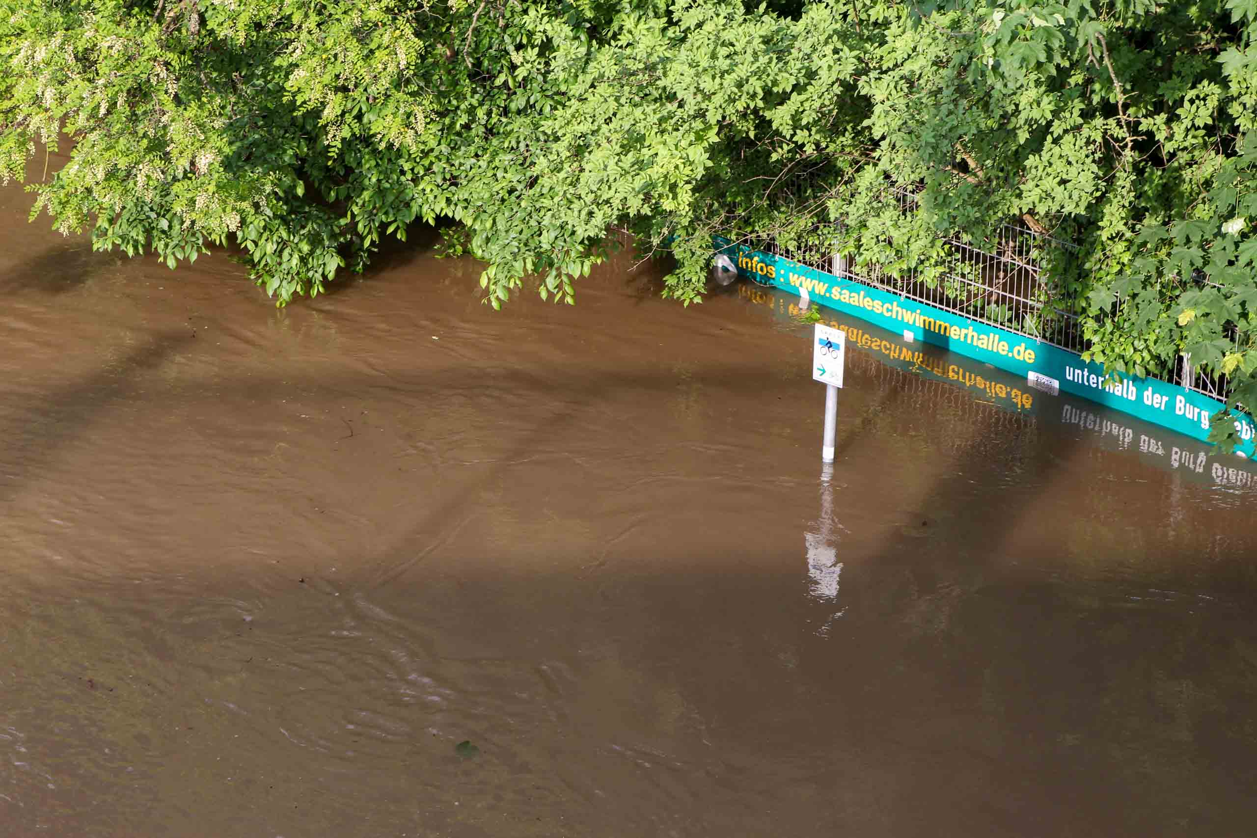 Hochwasser 2013 - Unterhalb der Burg Giebichenstein