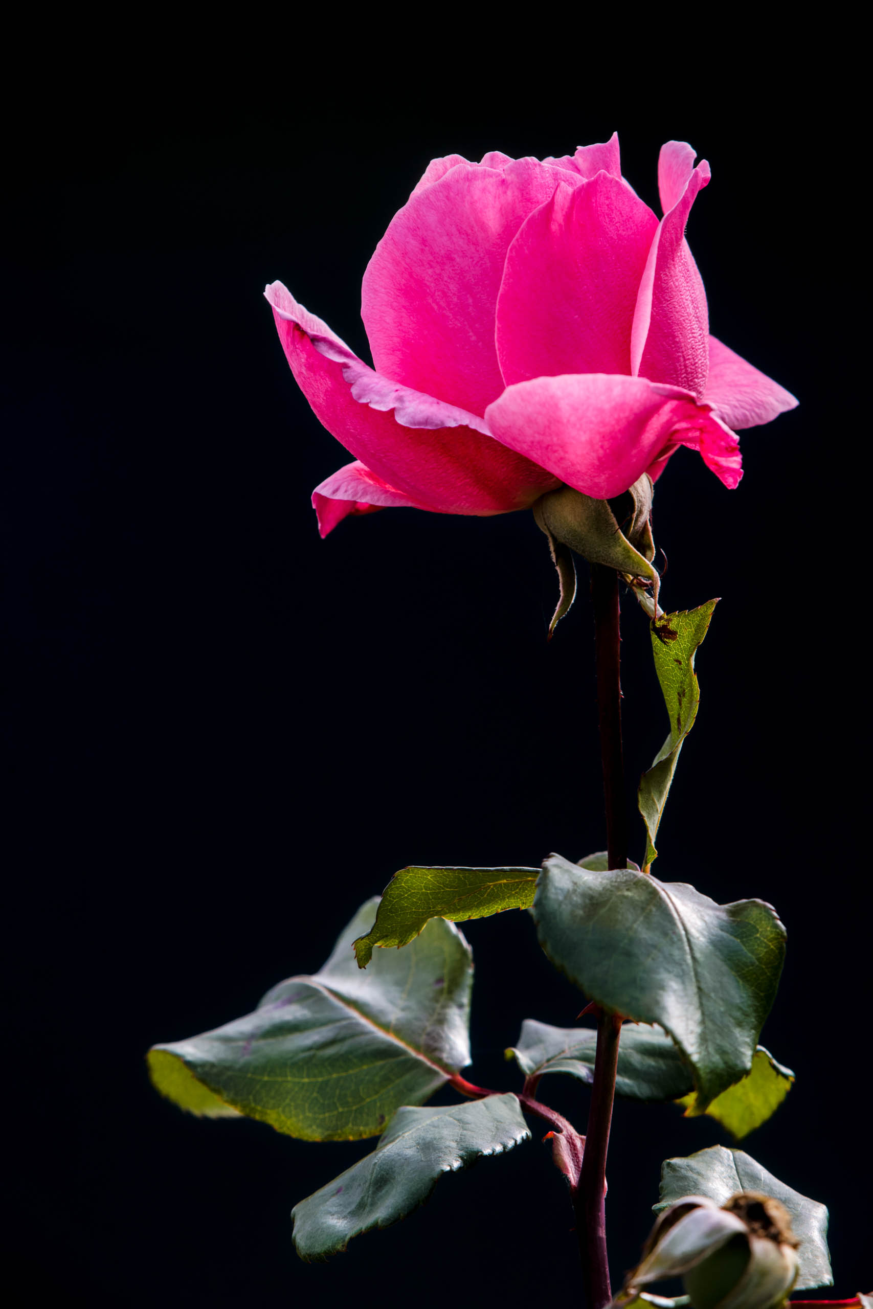 ©´23 Uwe Dünnebeil