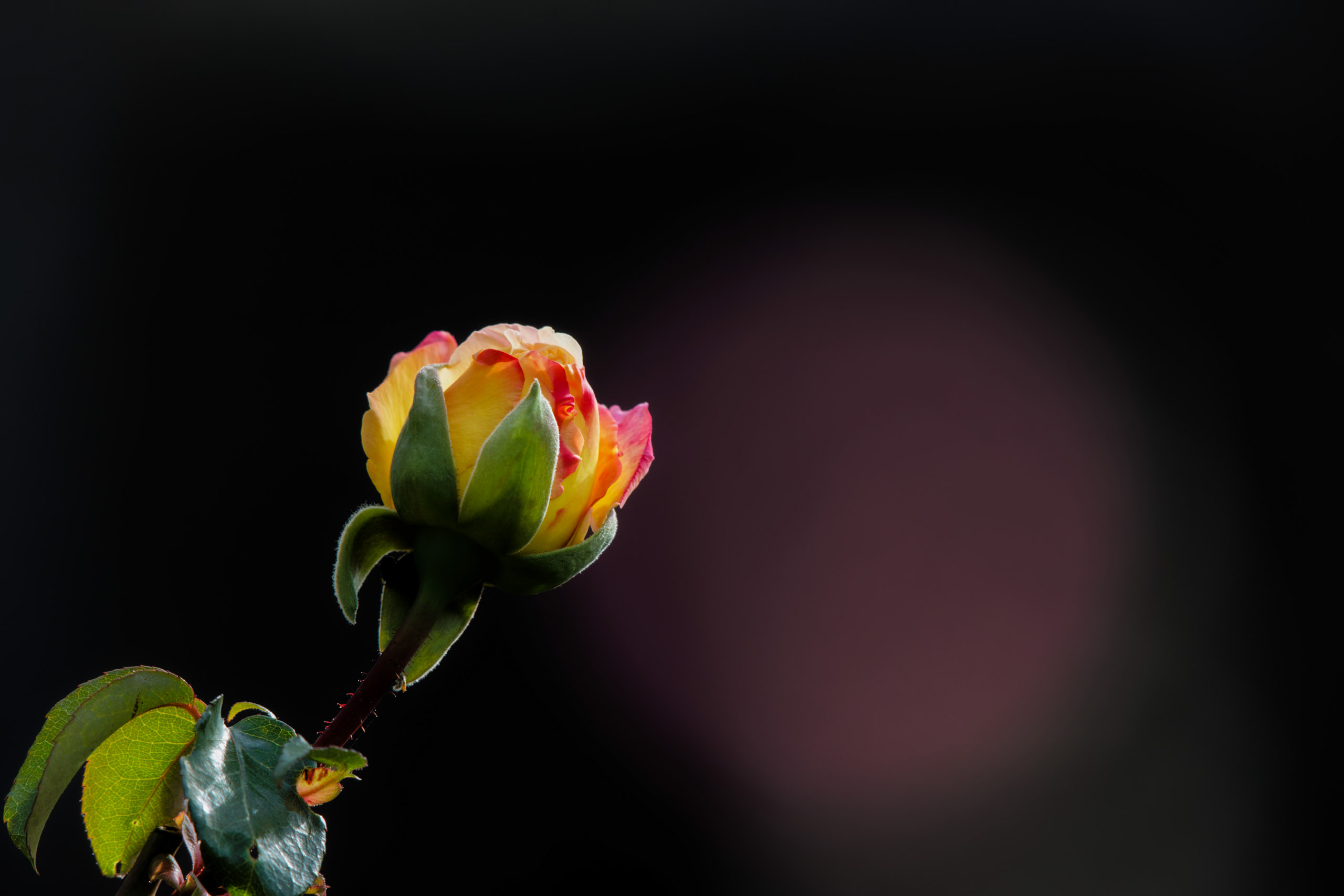 ©´23 Uwe Dünnebeil