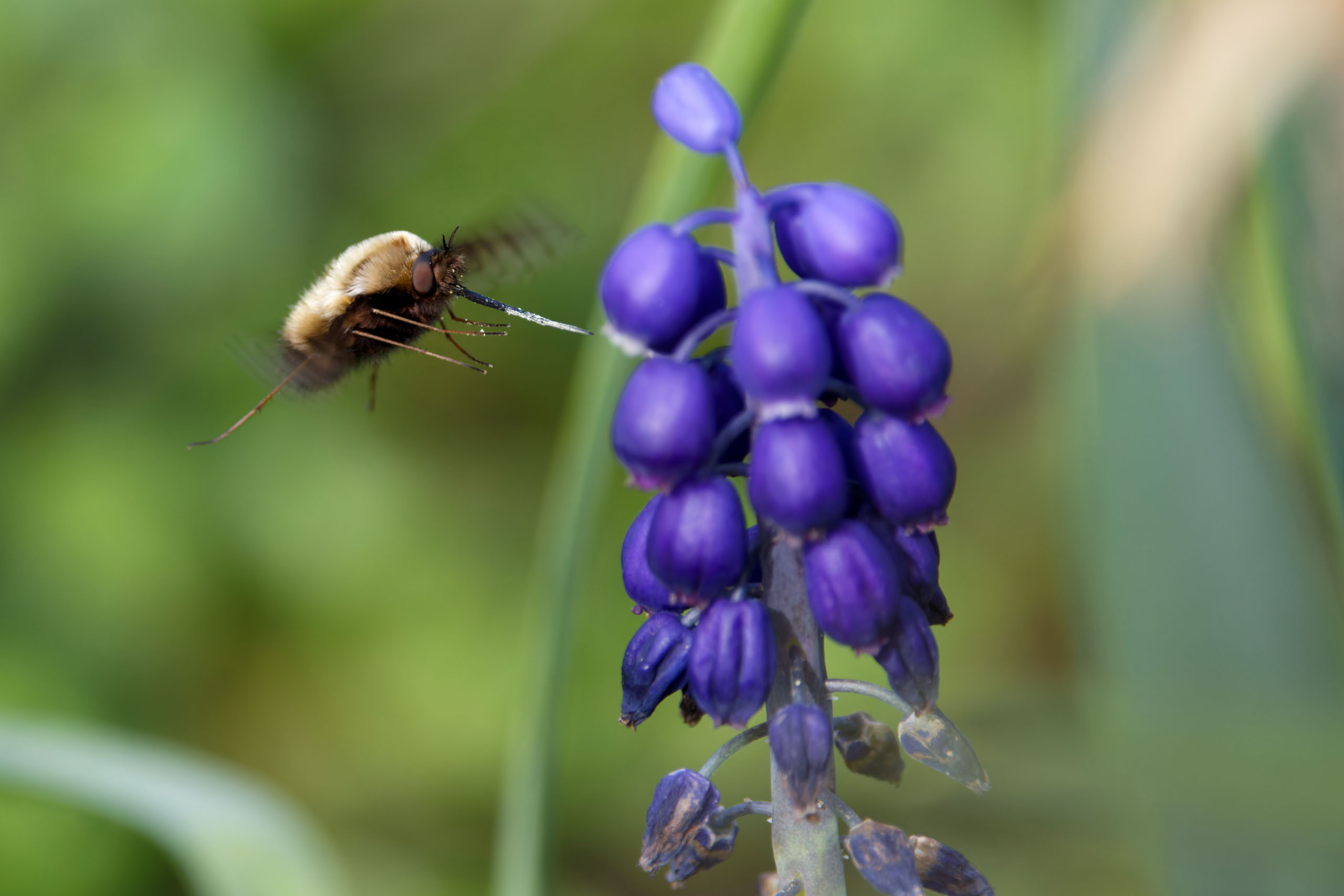 ©´23 Uwe Dünnebeil