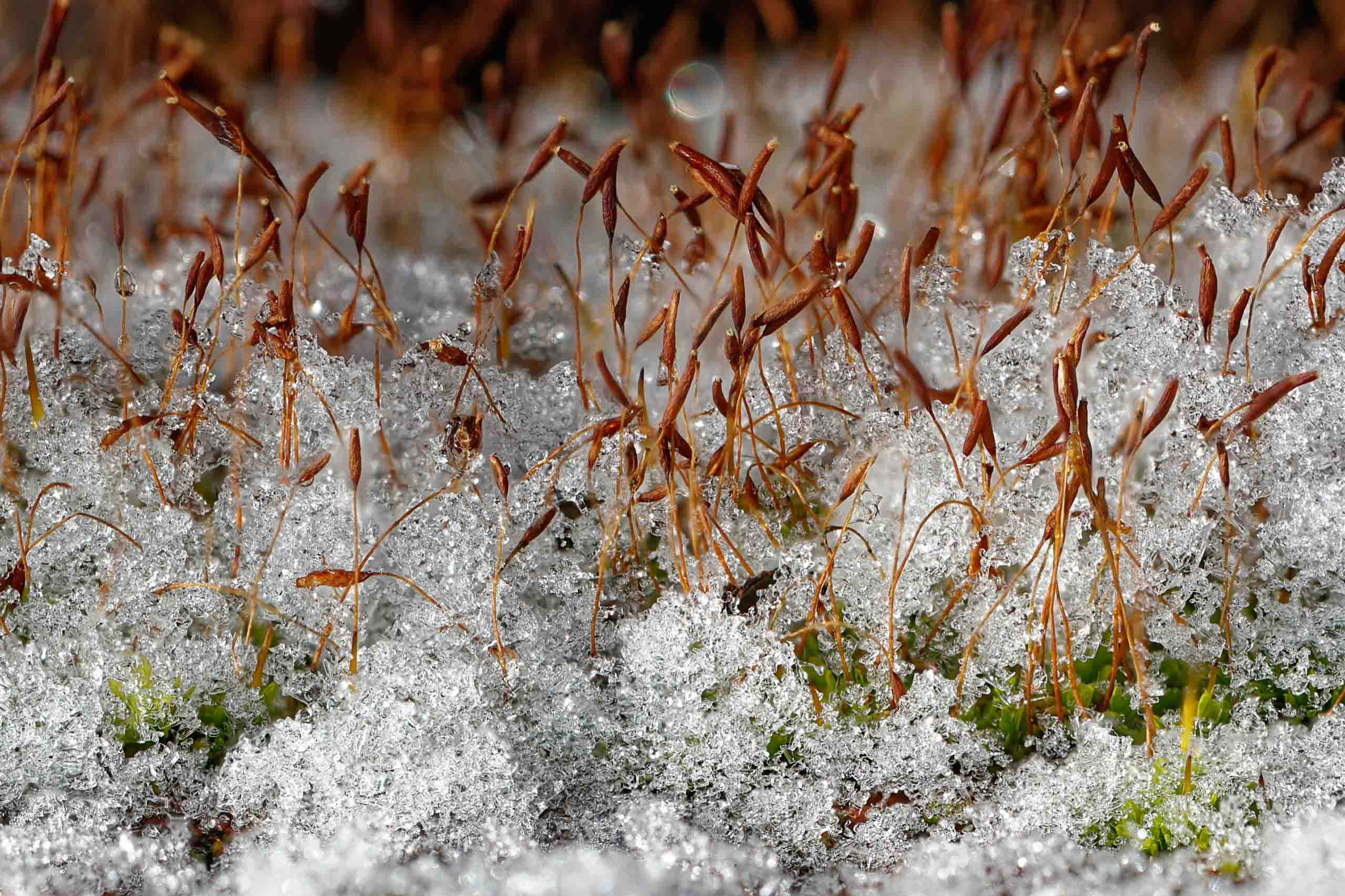 ©´23 Uwe Dünnebeil