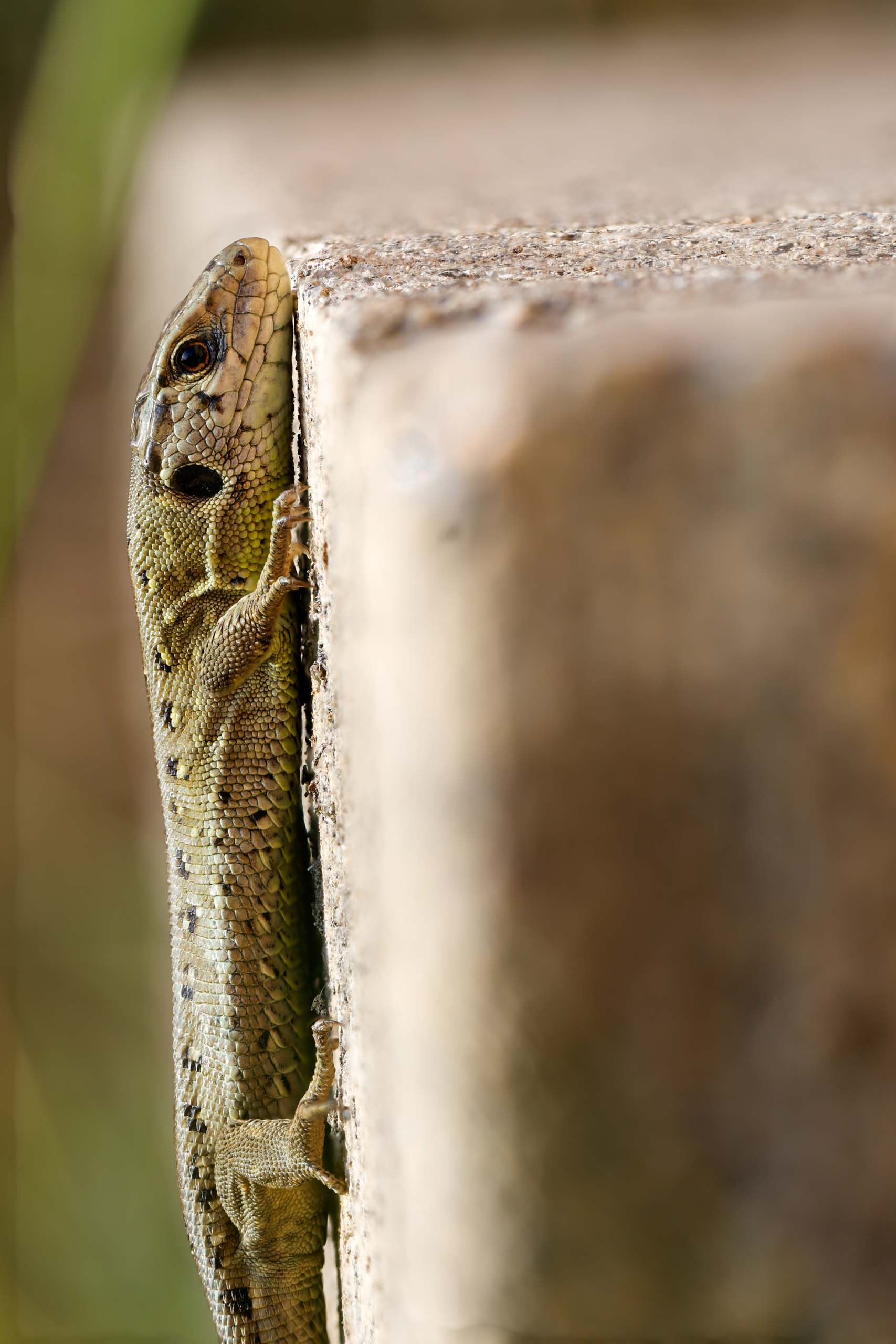 ©´23 Uwe Dünnebeil