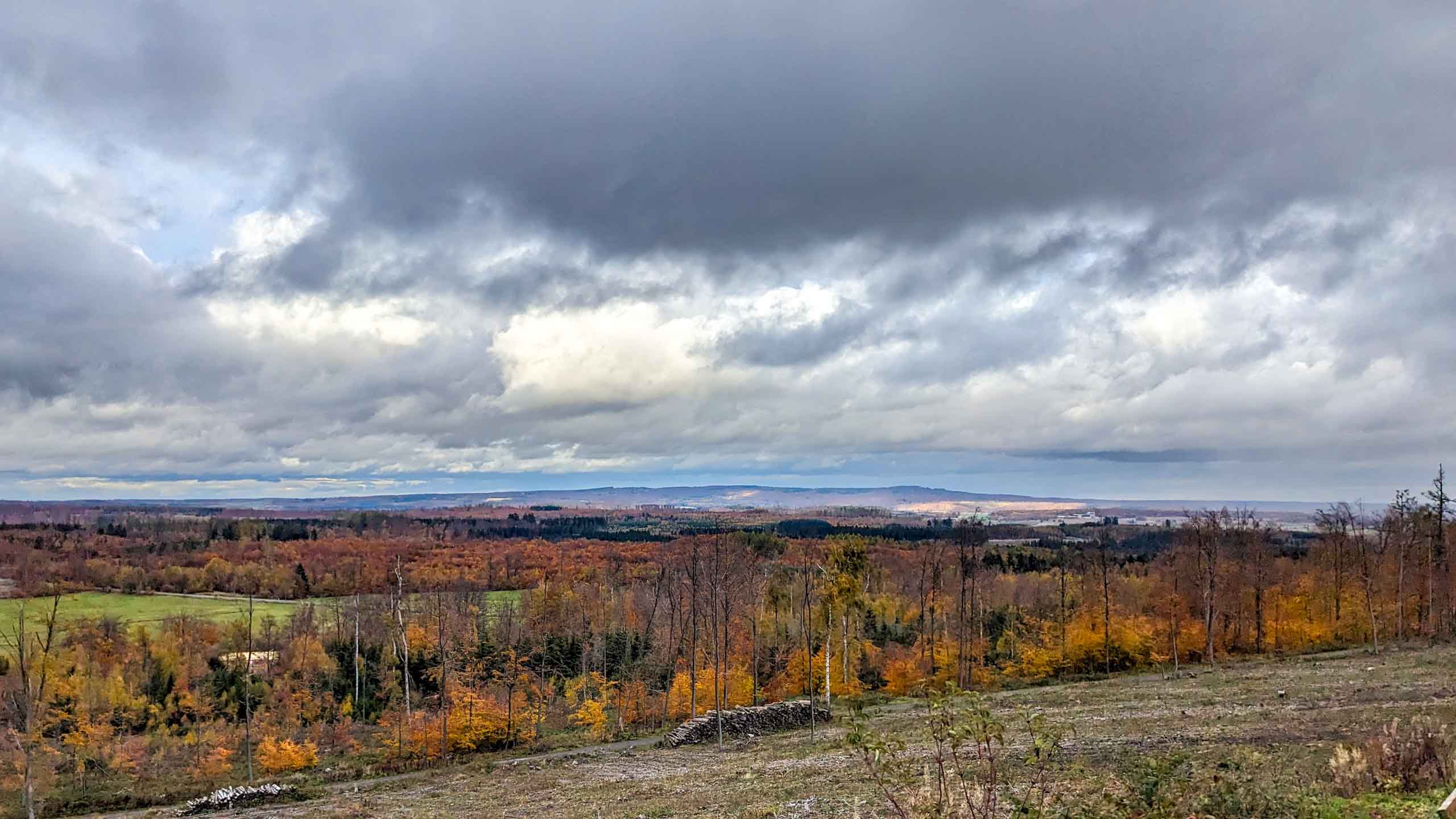 Blick in Harzvorland