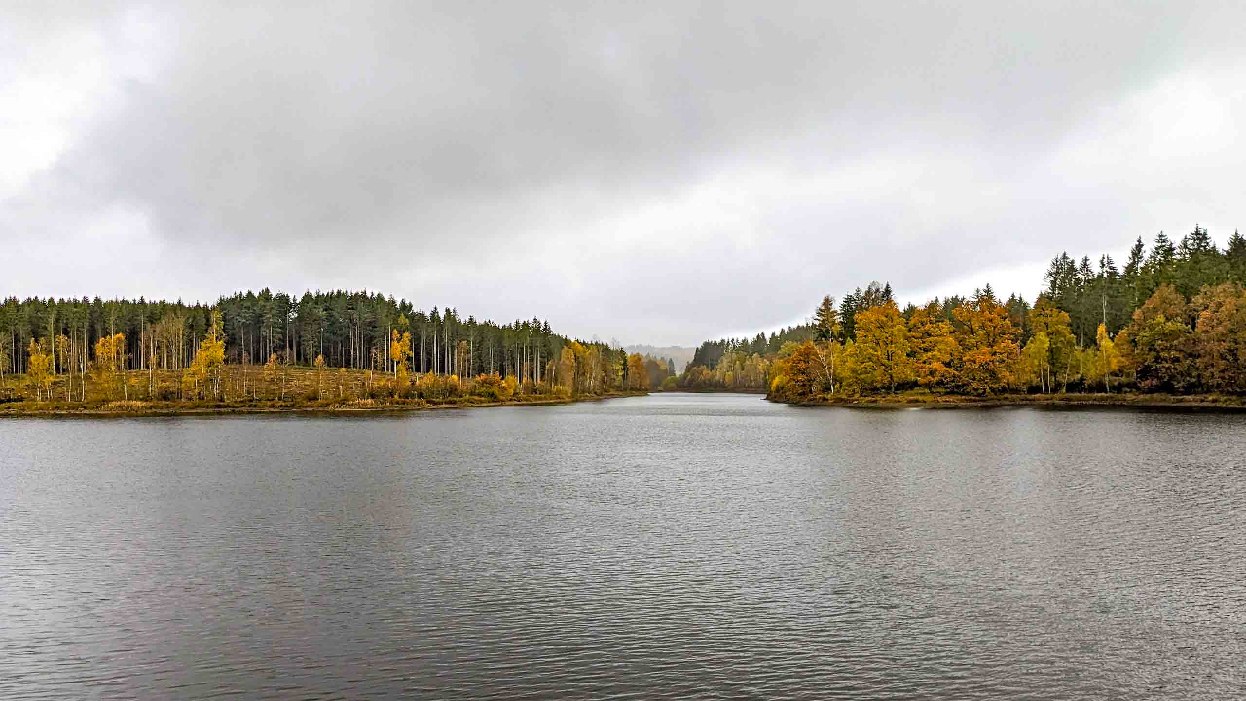 Frankenteich bei Straßberg