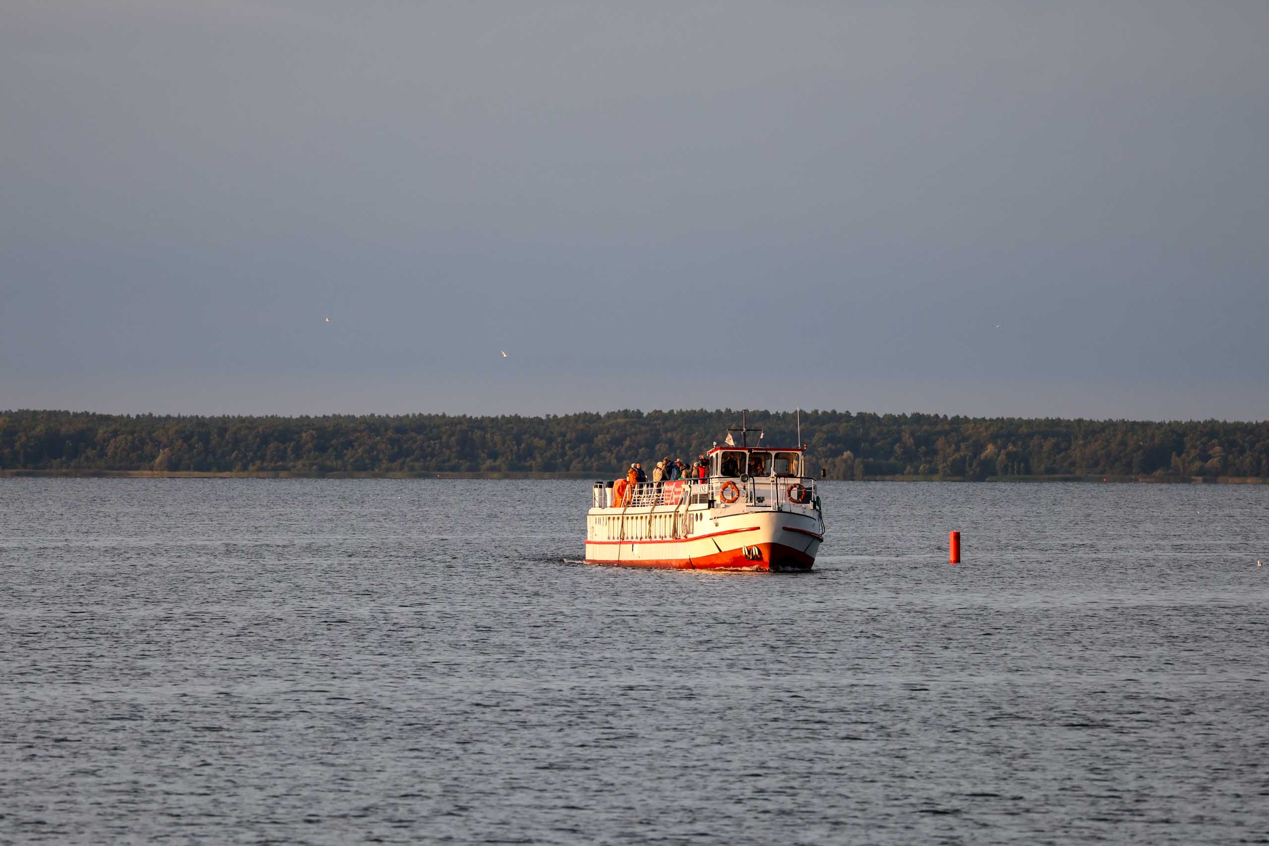 Die Konkurrenz Auf Gegenkurs