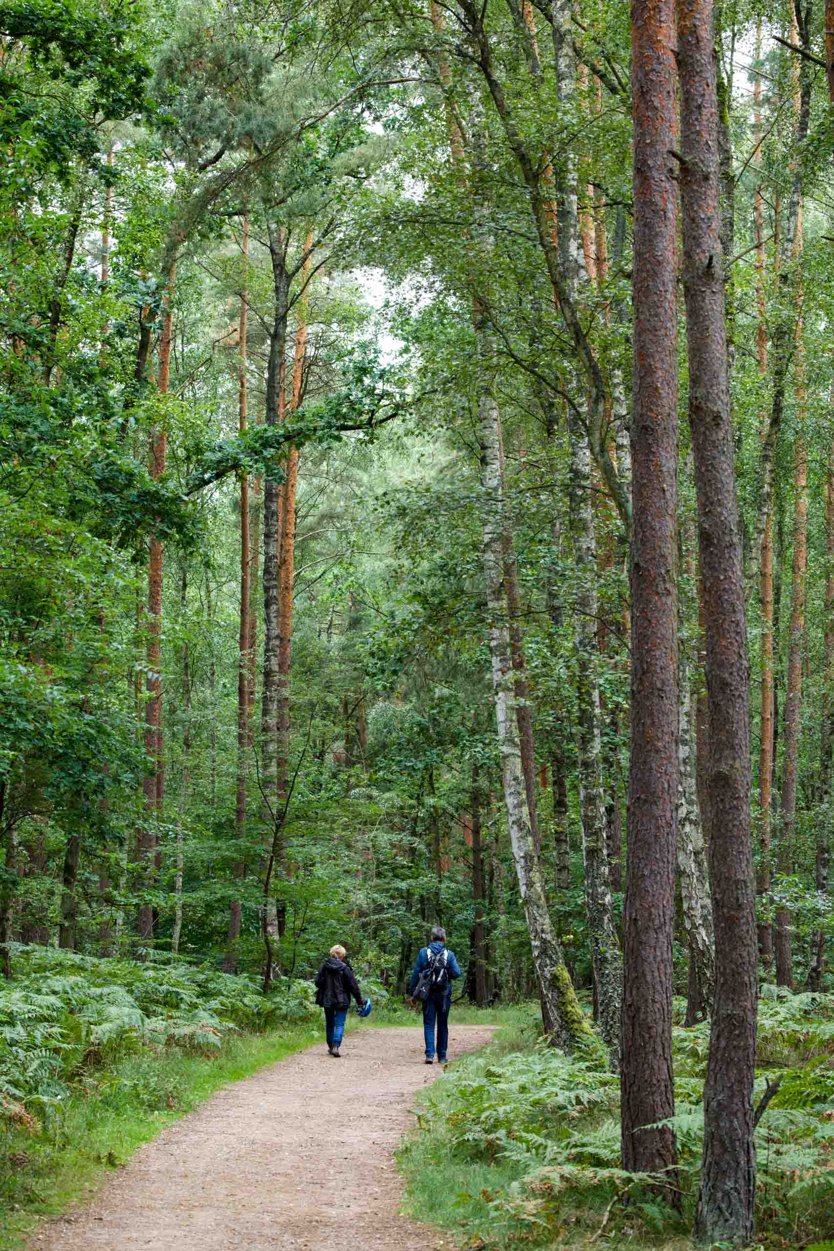 Unterwegs im Naturpark
