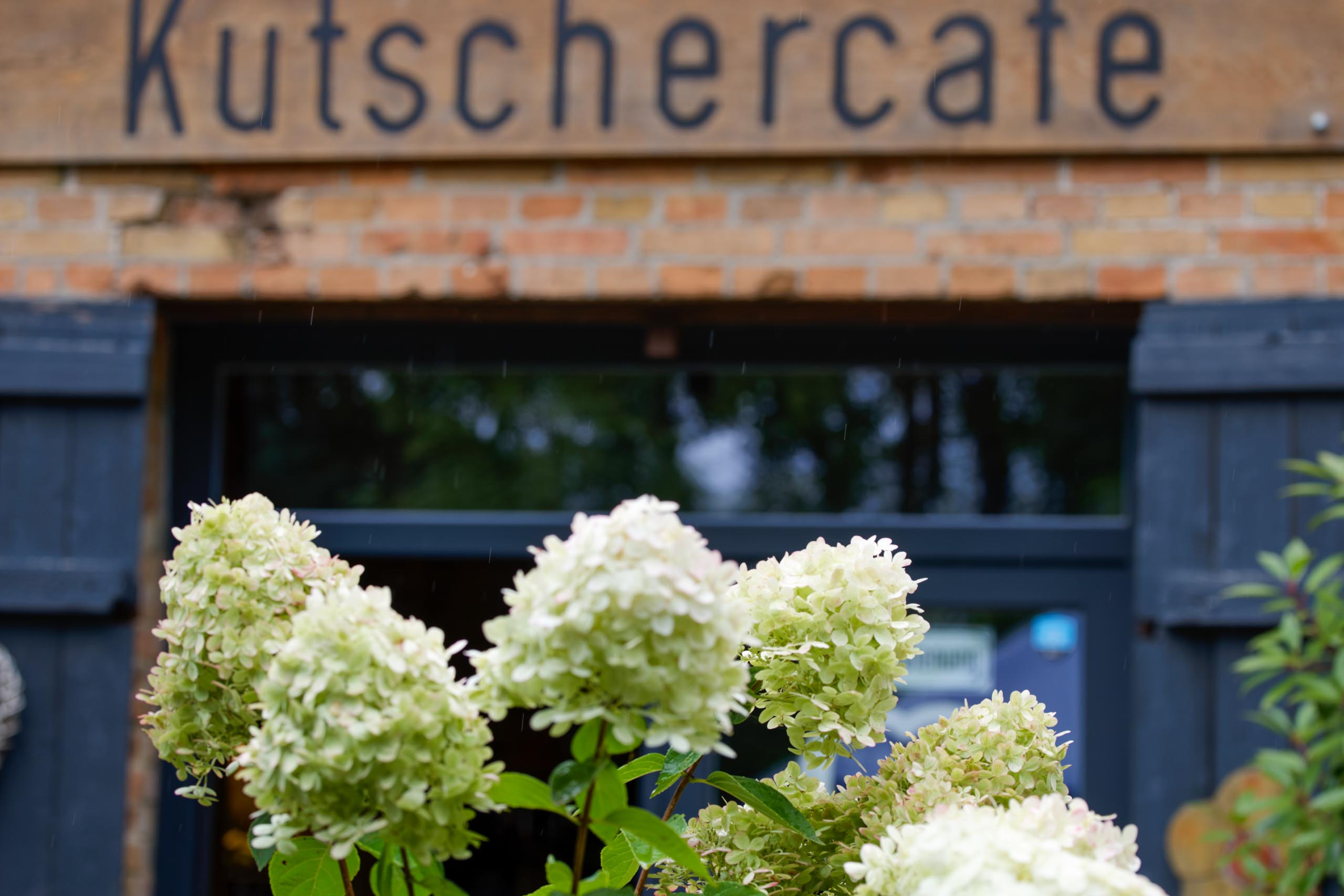 Jetzt fängt es tatsächlich an zu regnen