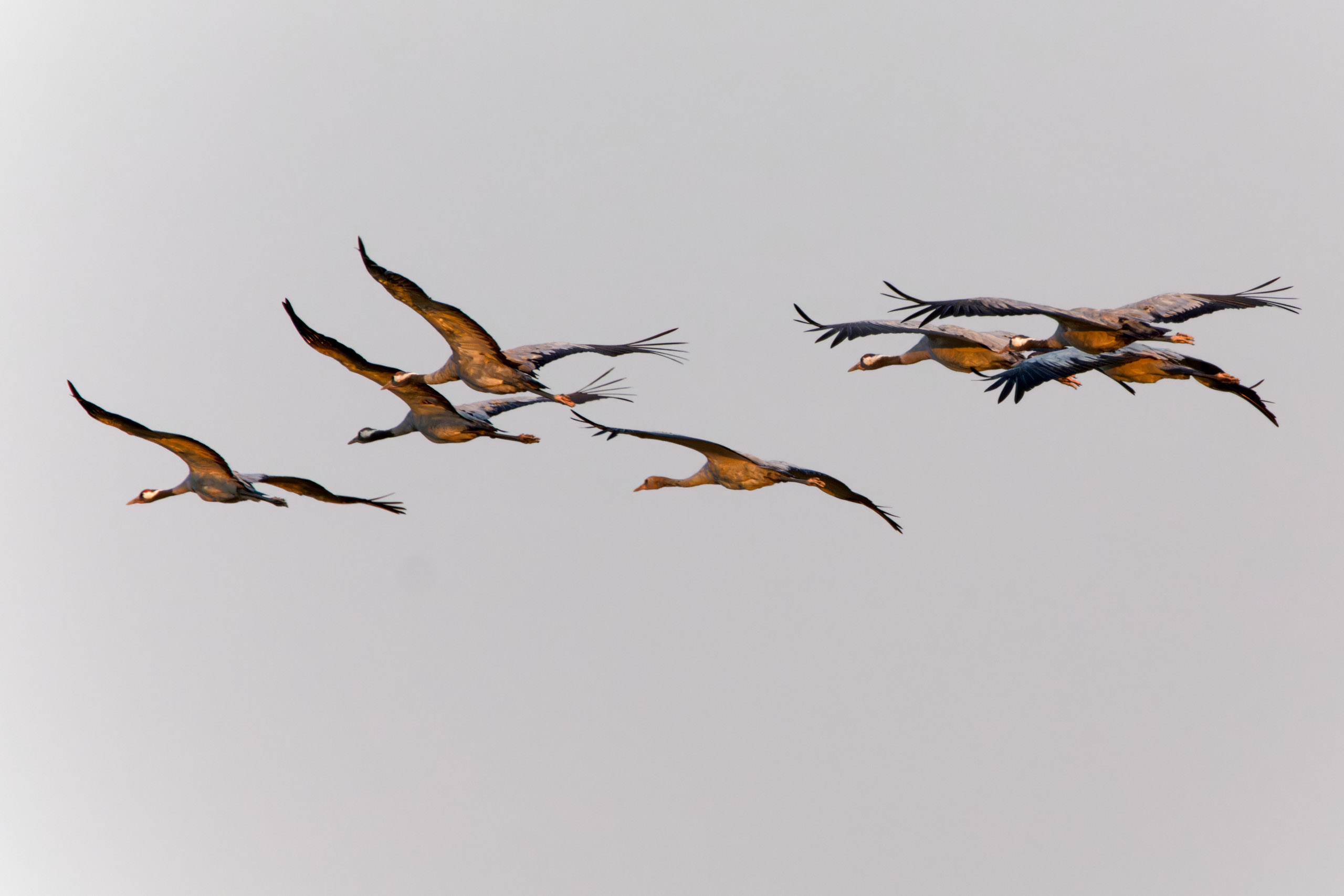 Landeanflug zum Rastplatz