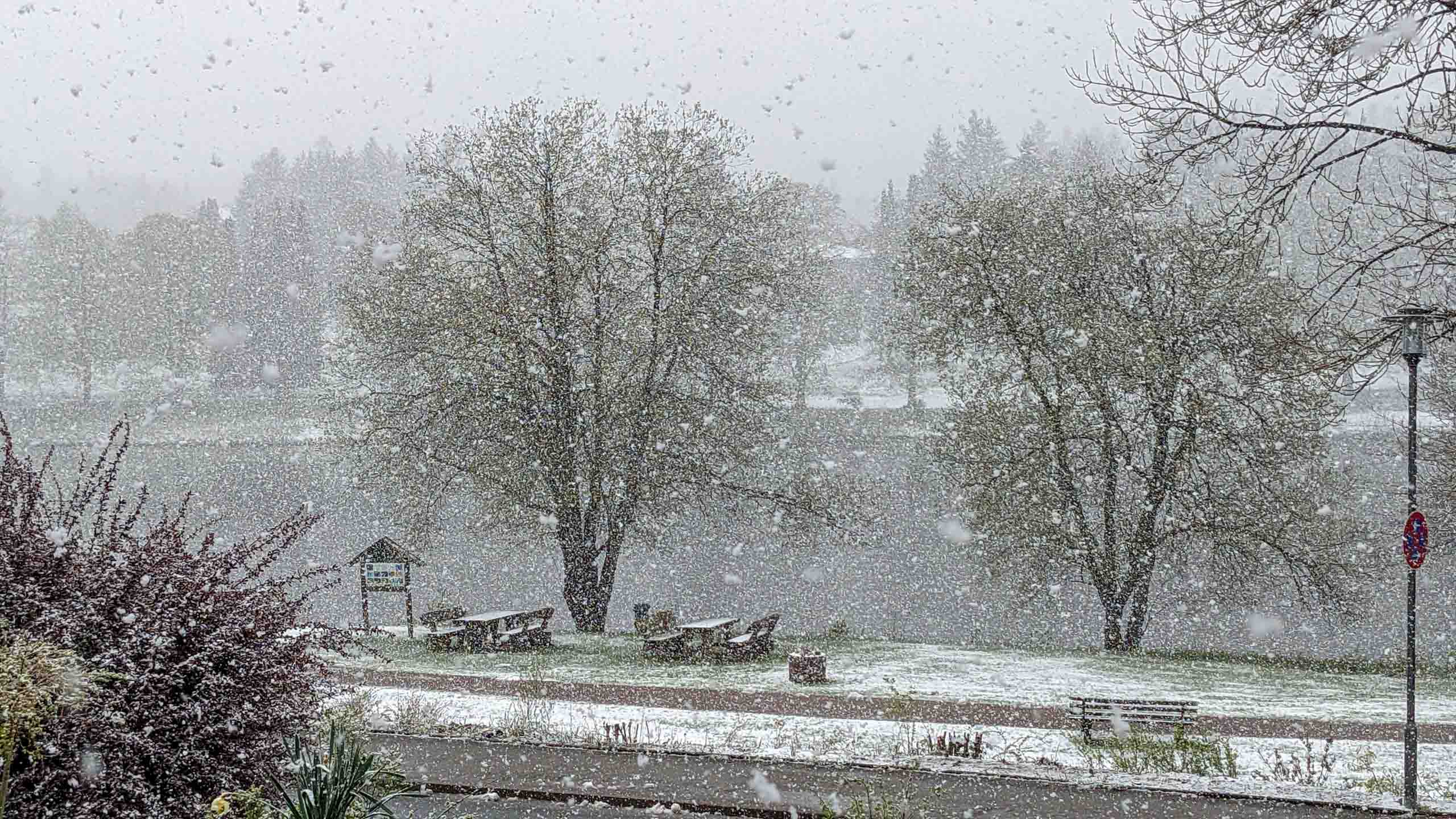 Unser Begrüßungswetter in Hahnenklee