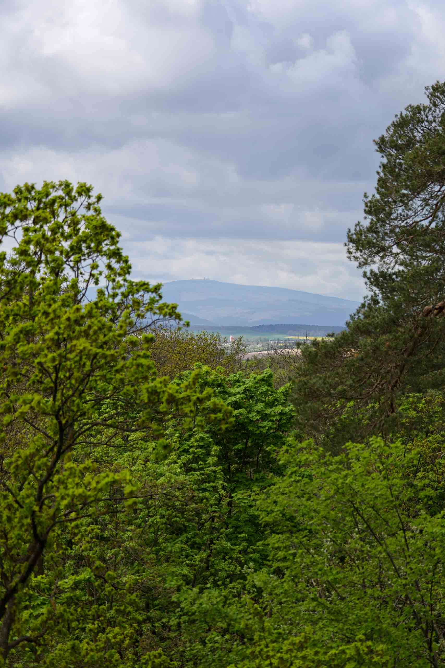 Blick von den Spiegelsbergen