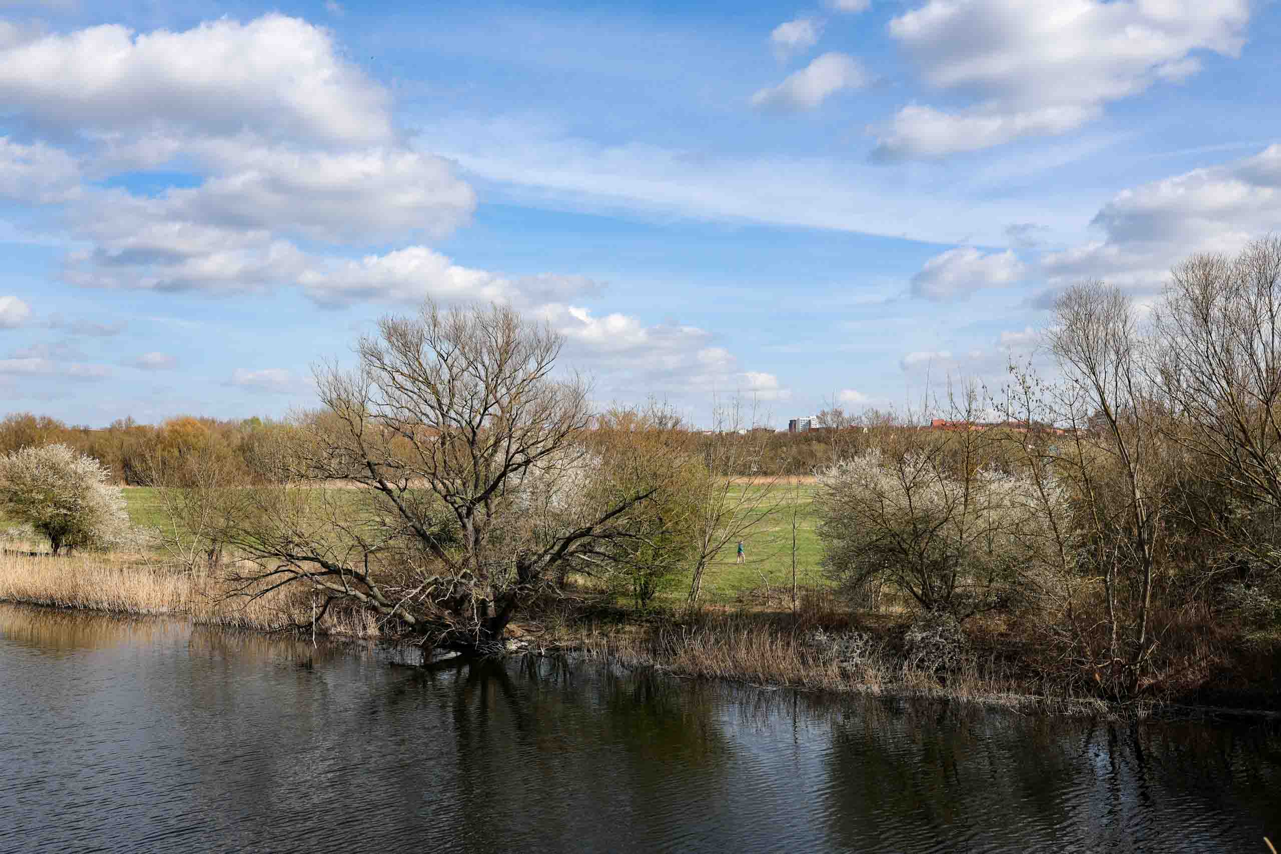 Am Saale-Leipzig Kanal