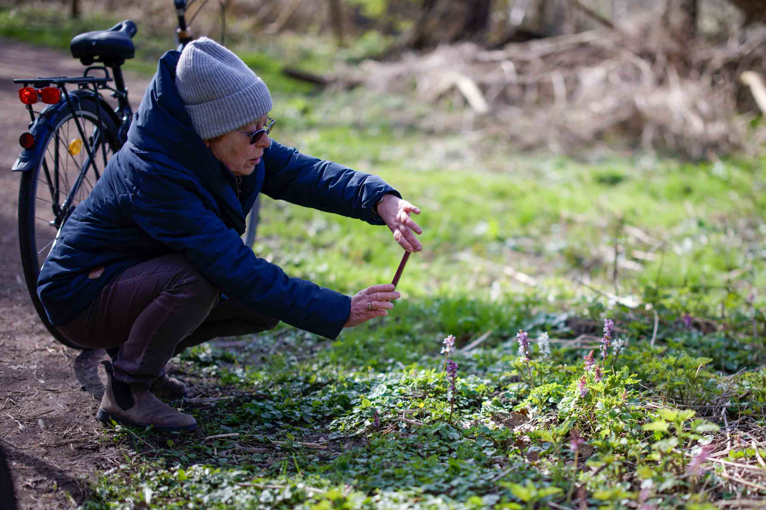 Pfnlanzenbestimmung vor Ort