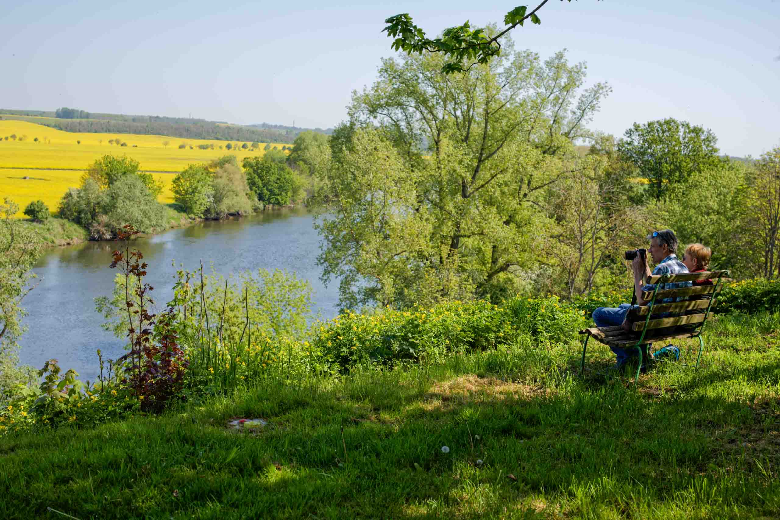 Rentner auf der Bank