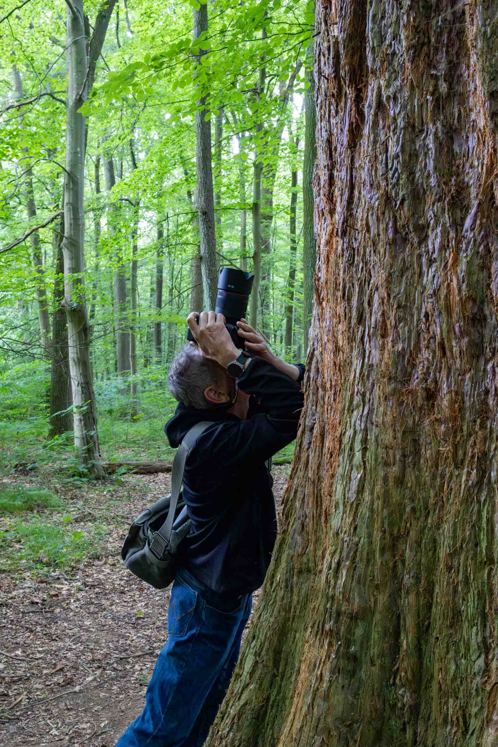 Nur eine Festbrennweite dabei?