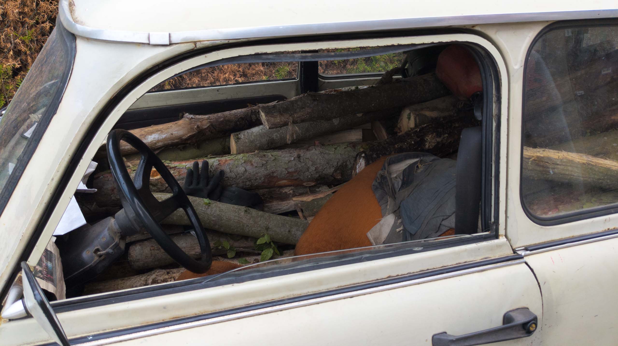 Hab´mein Wagen voll geladen