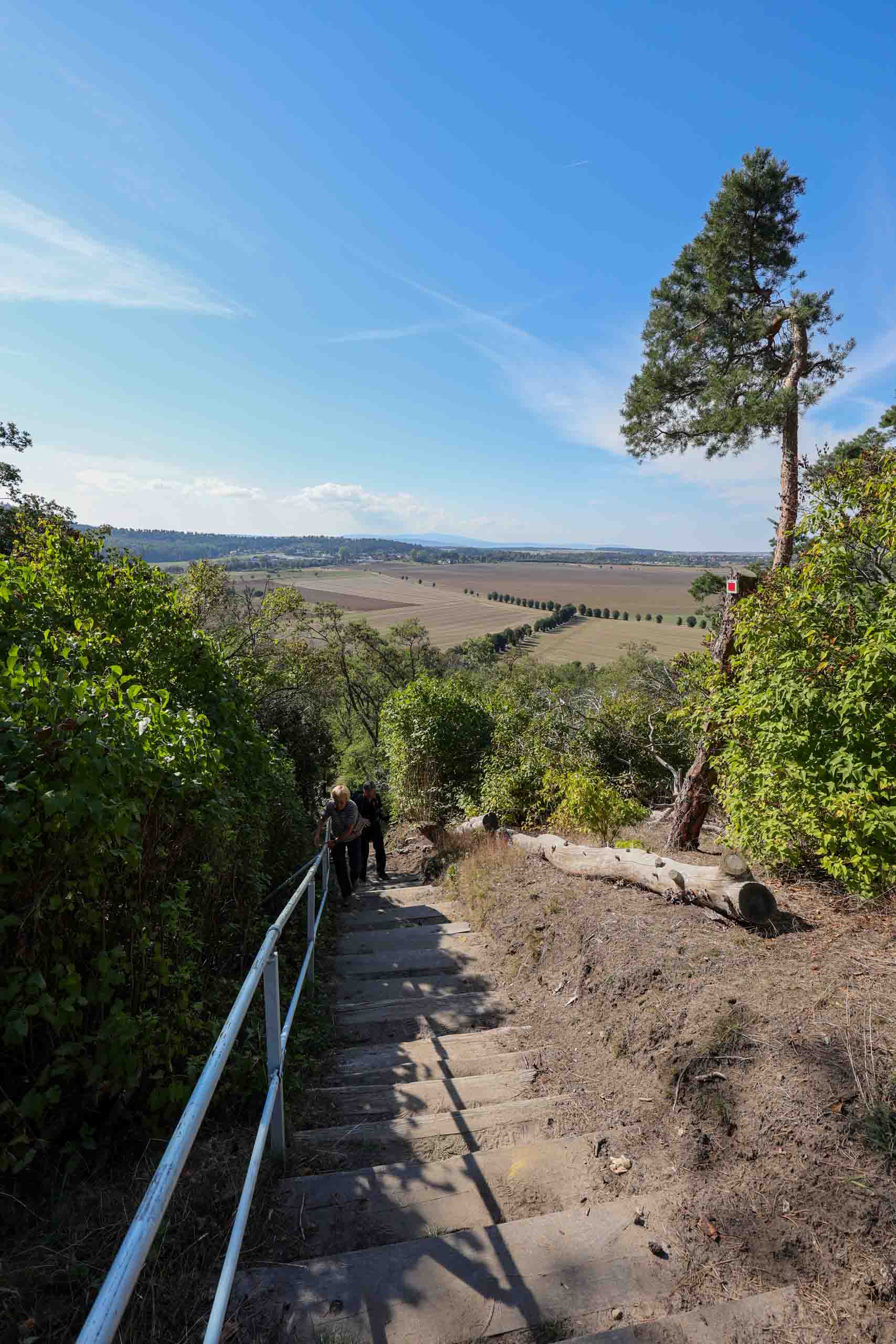 Gleich oben auf 110 m NN