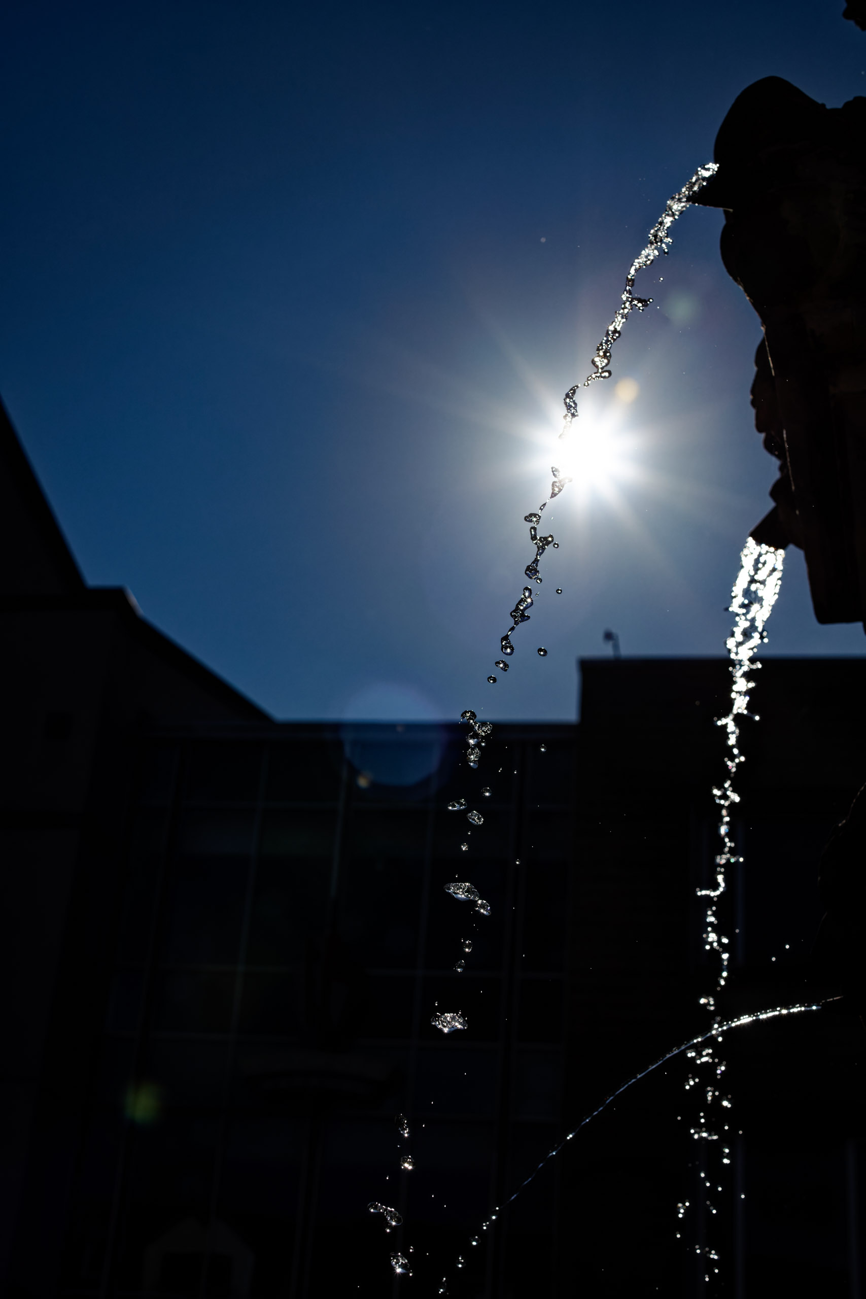Der Holzmarktbrunnen