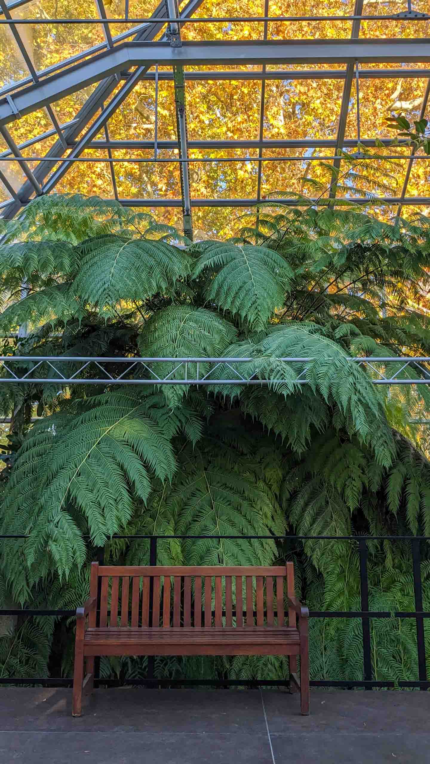 Die Gruson-Gewächshäuser sind ein tropisch-botanischer Garten