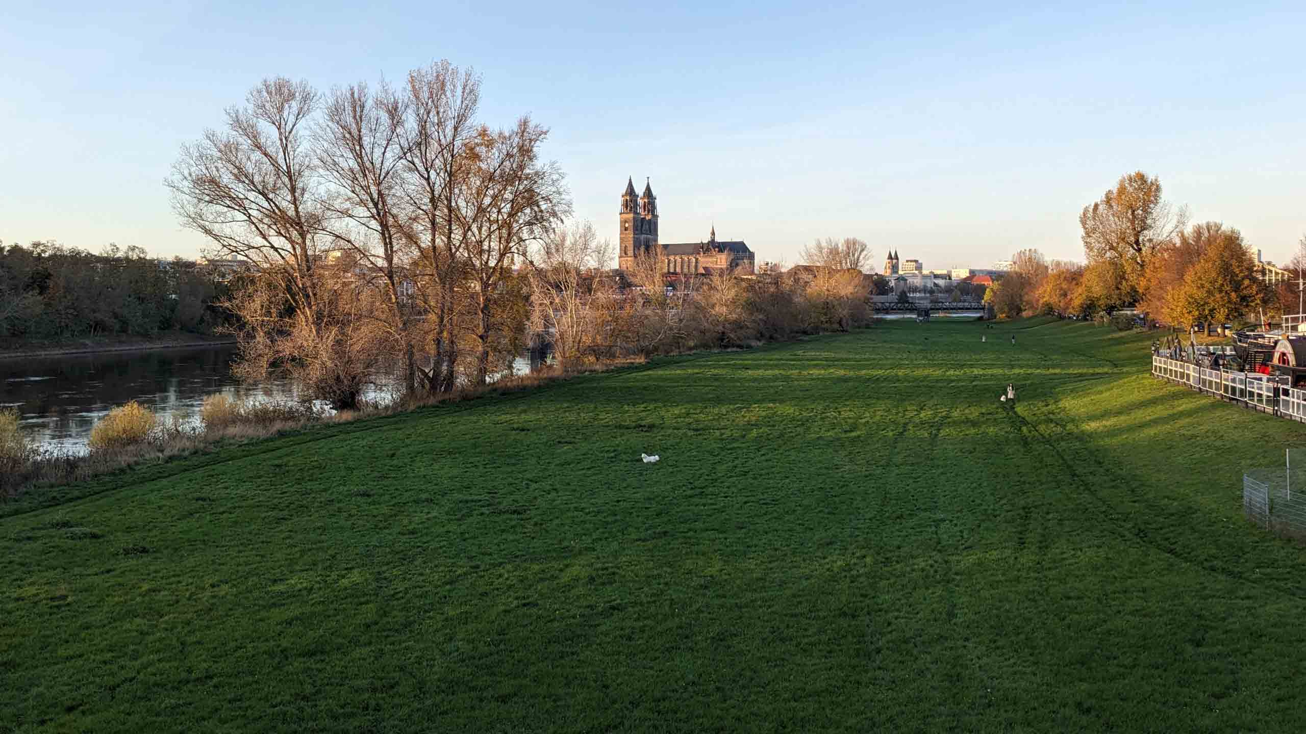 Elbauen am Rotehornpark