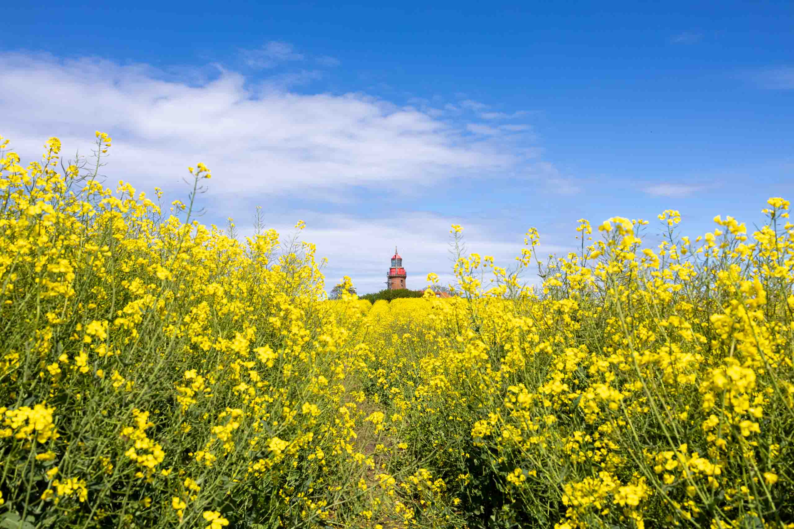 mit 95,3 m das höchste Leuchtfeuer Norddeutschlands