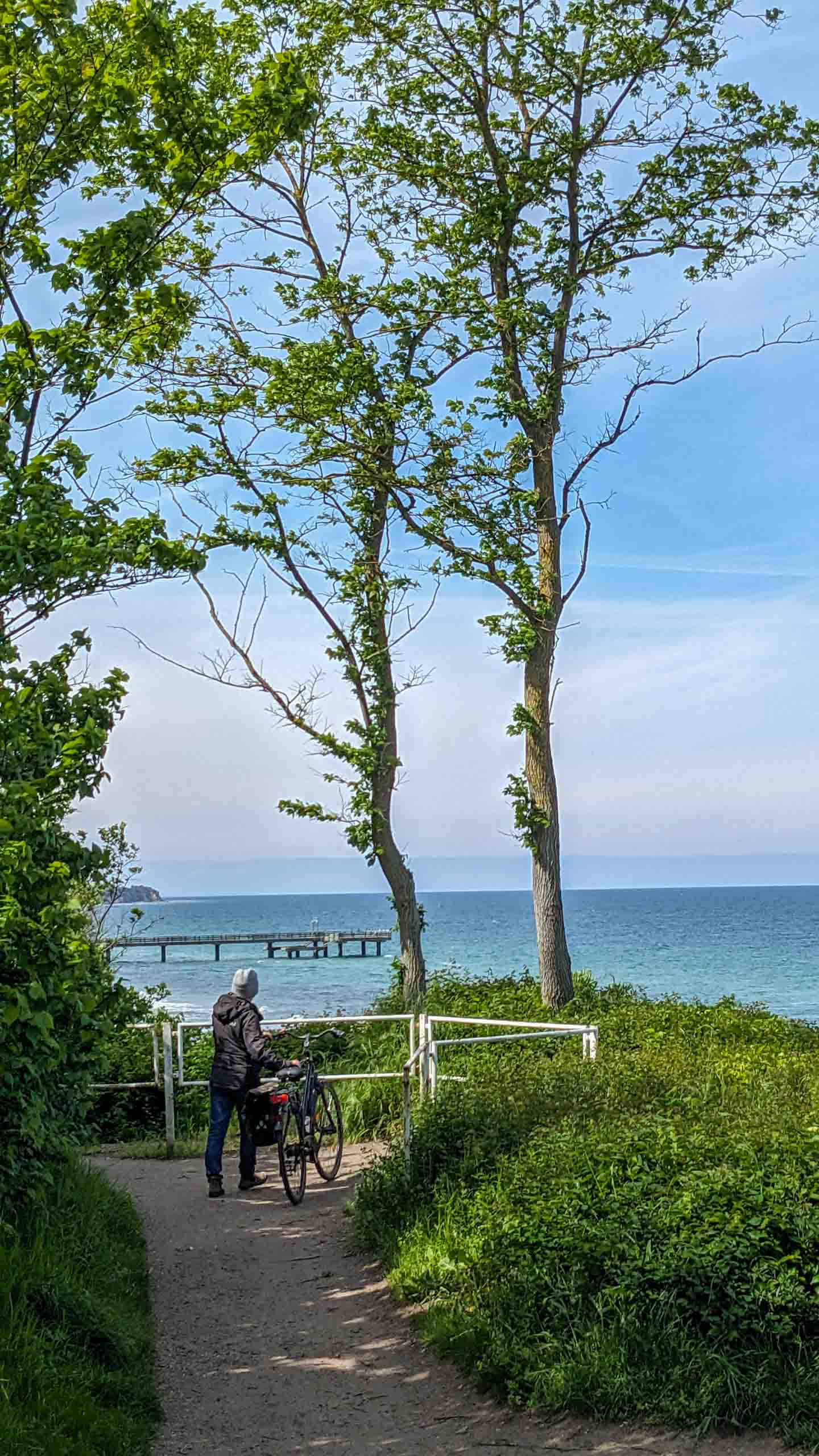 Blick zur (kaputten) Seebrücke in Rerik