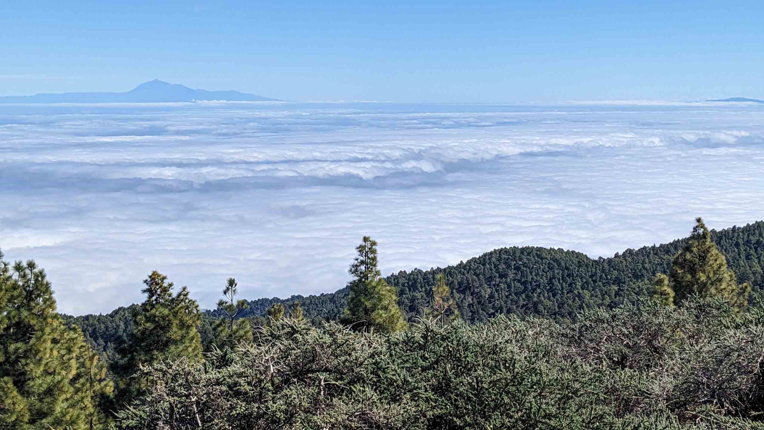 Der Hügel im Hintergrund ist der Teide (3715m) auf Teneriffa