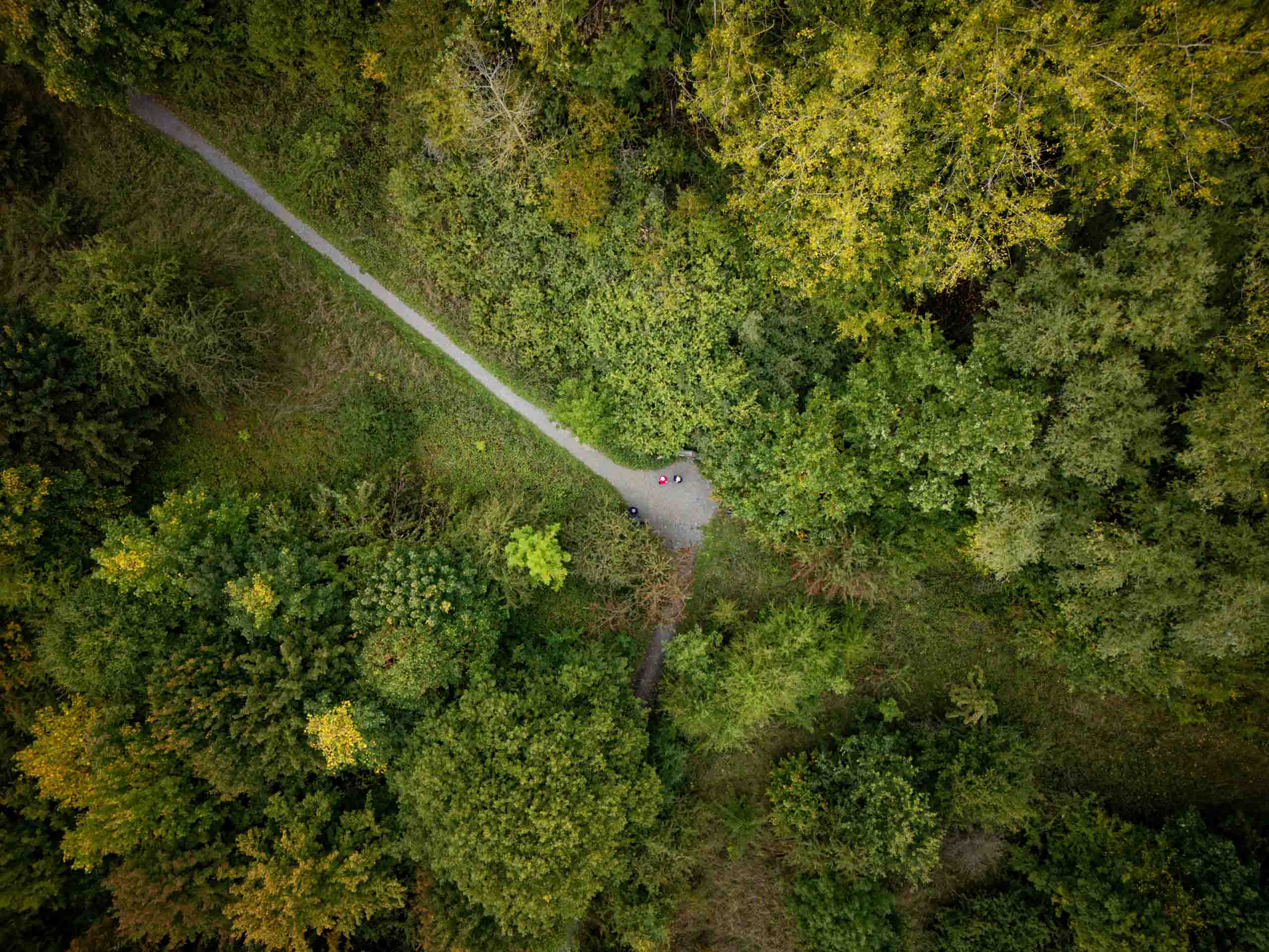 Tagesausflug nach Schönstedt