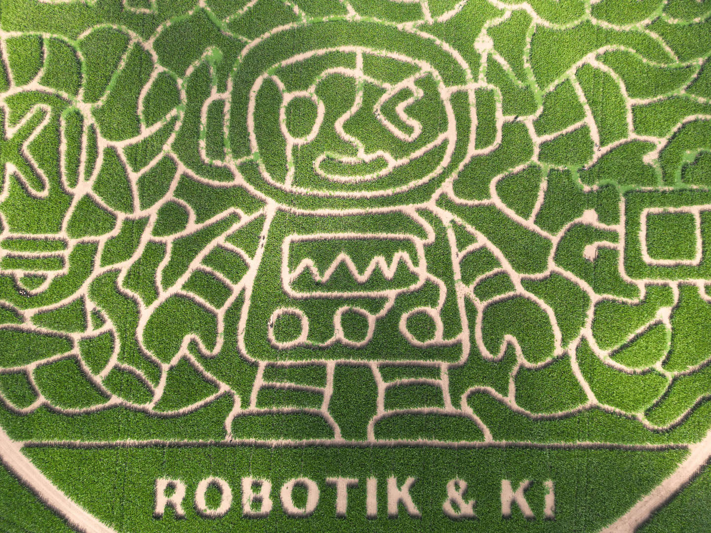 Maislabyrinth_Website_2026