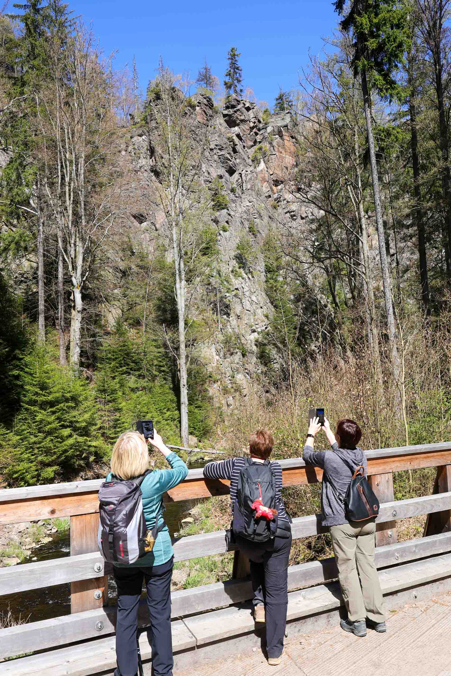 Der WTVH im Erzgebirge