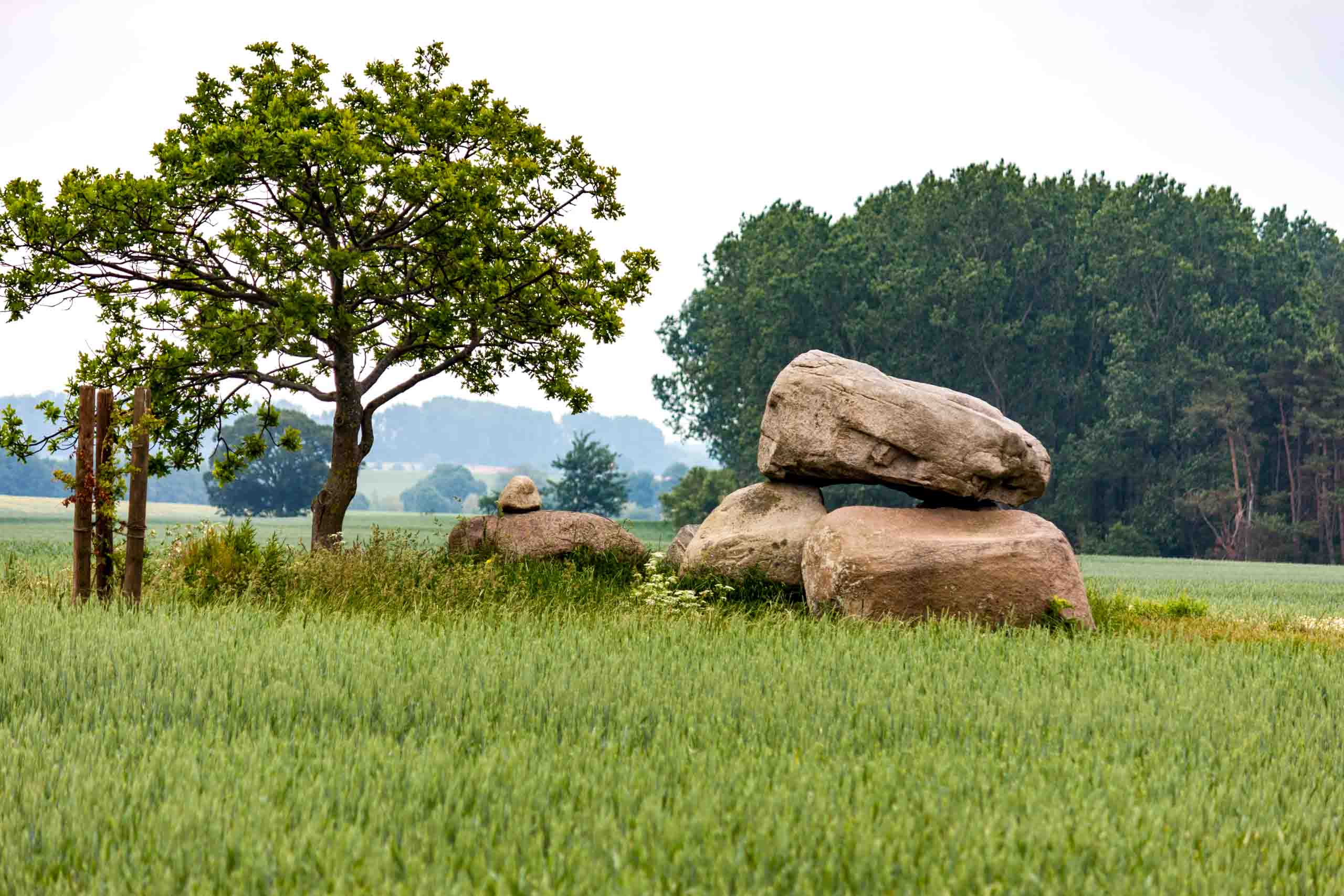 Dolmengrab bei Rerik