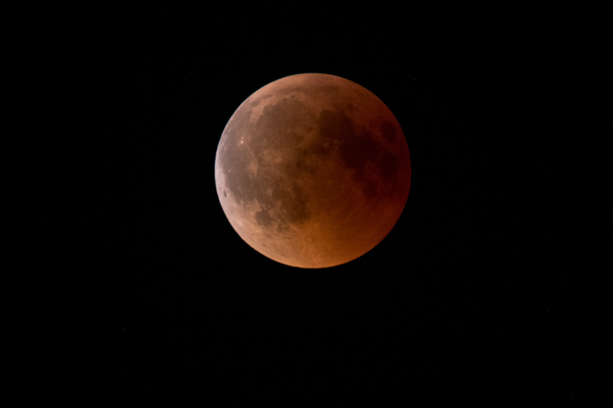 Das Bild erinnert doch irgendwie an das Firefox-Logo?