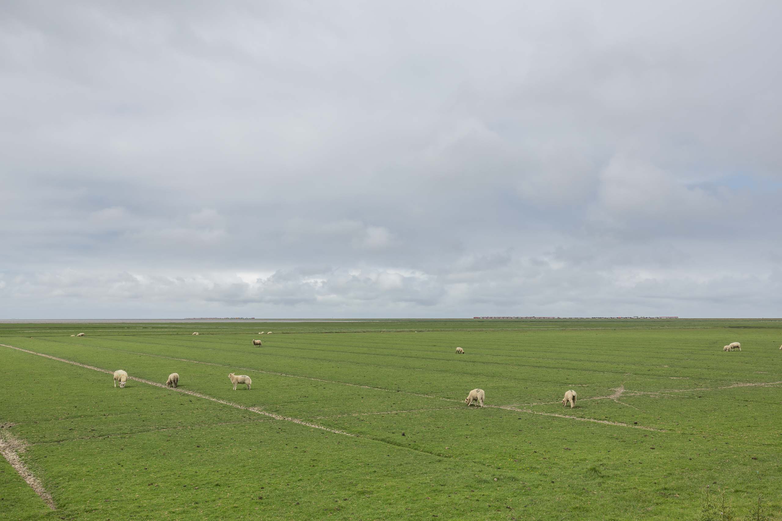 Hinbenburg-Damm nach Sylt