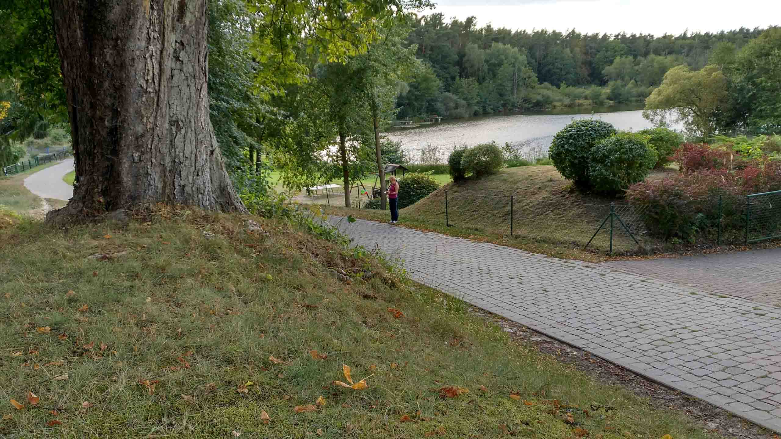 Conny sucht das Netz...