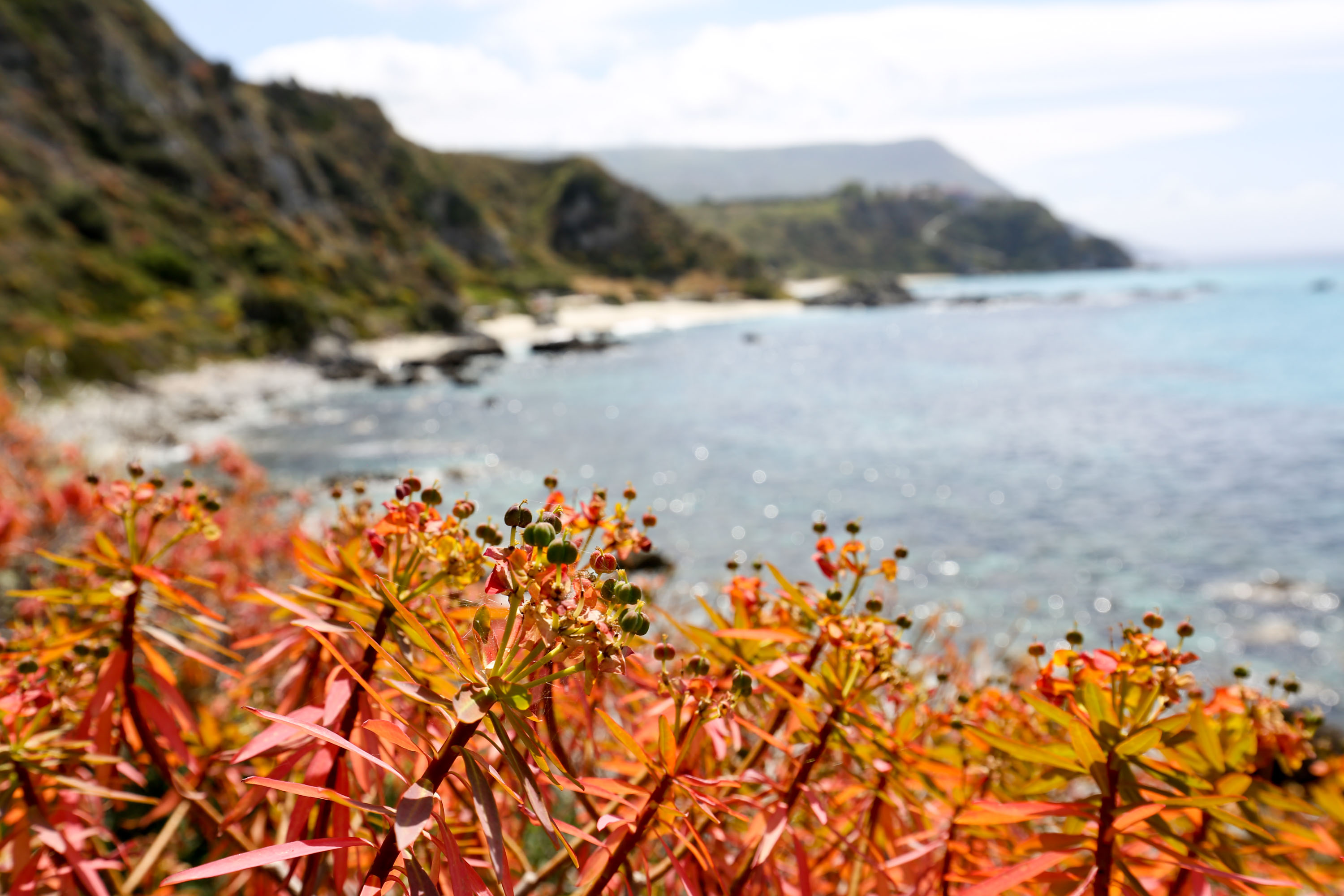 Am Capo die Vatecano