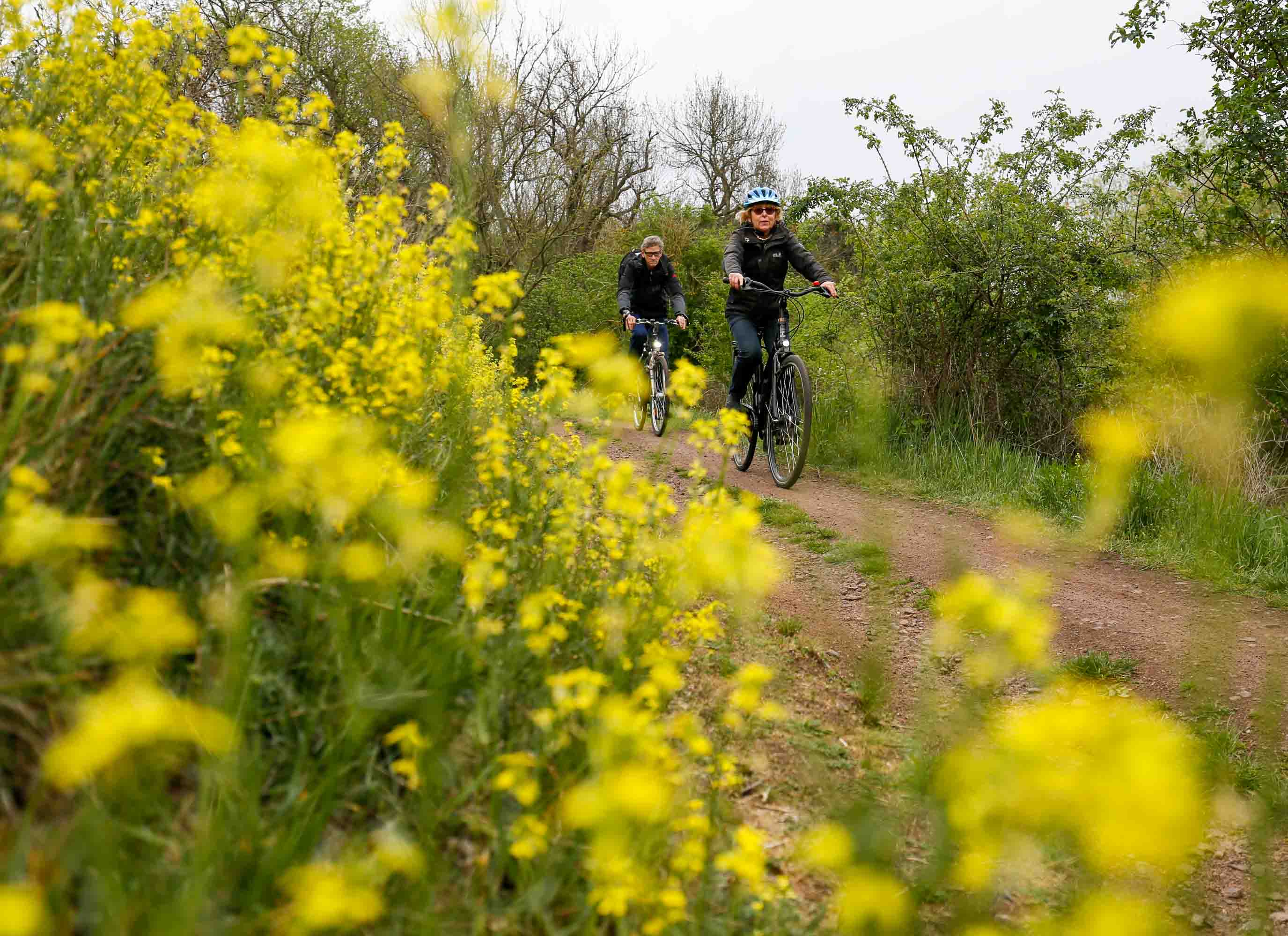 Saaleradweg nahe Franzigmark