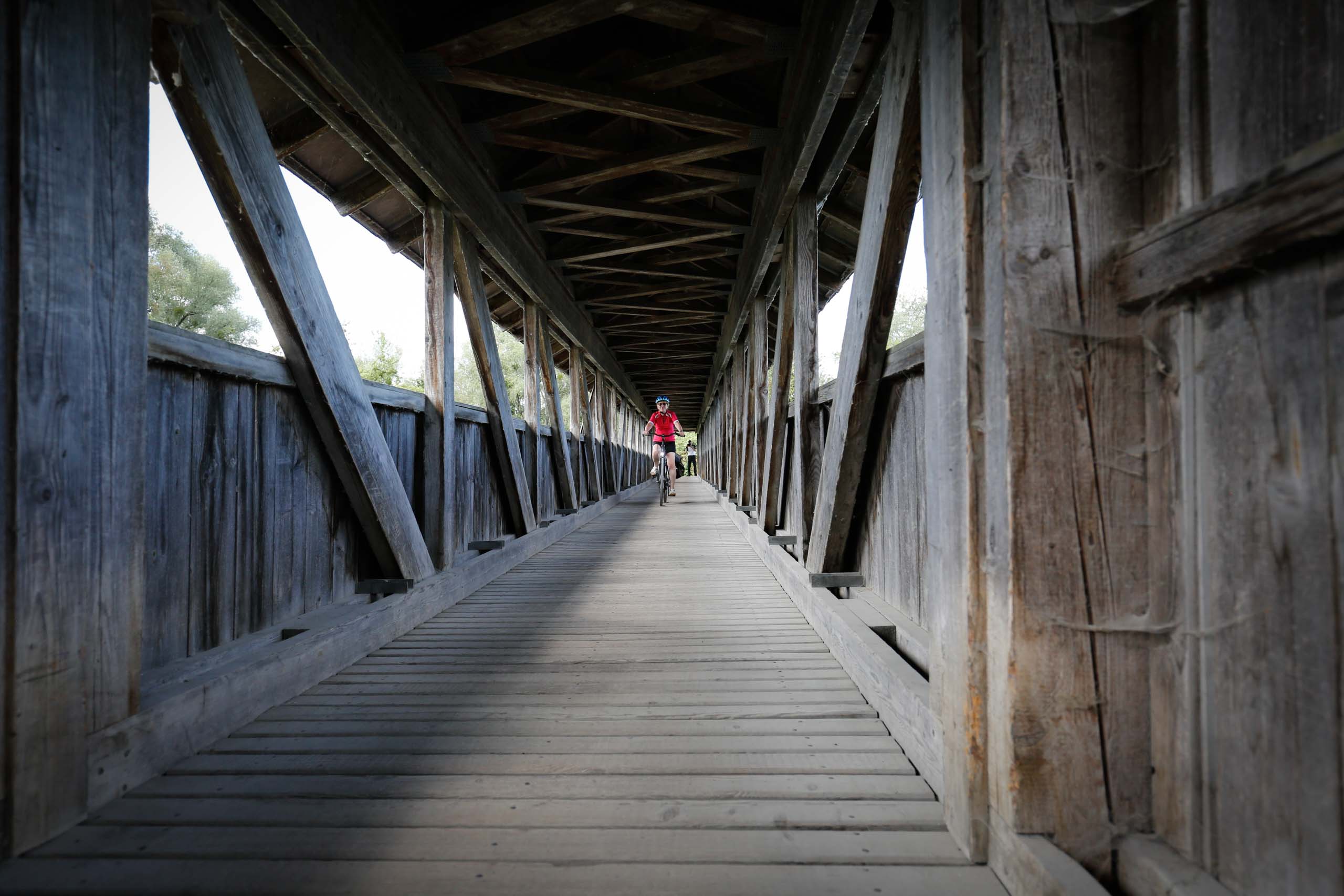 Brücke über den alten Rhein