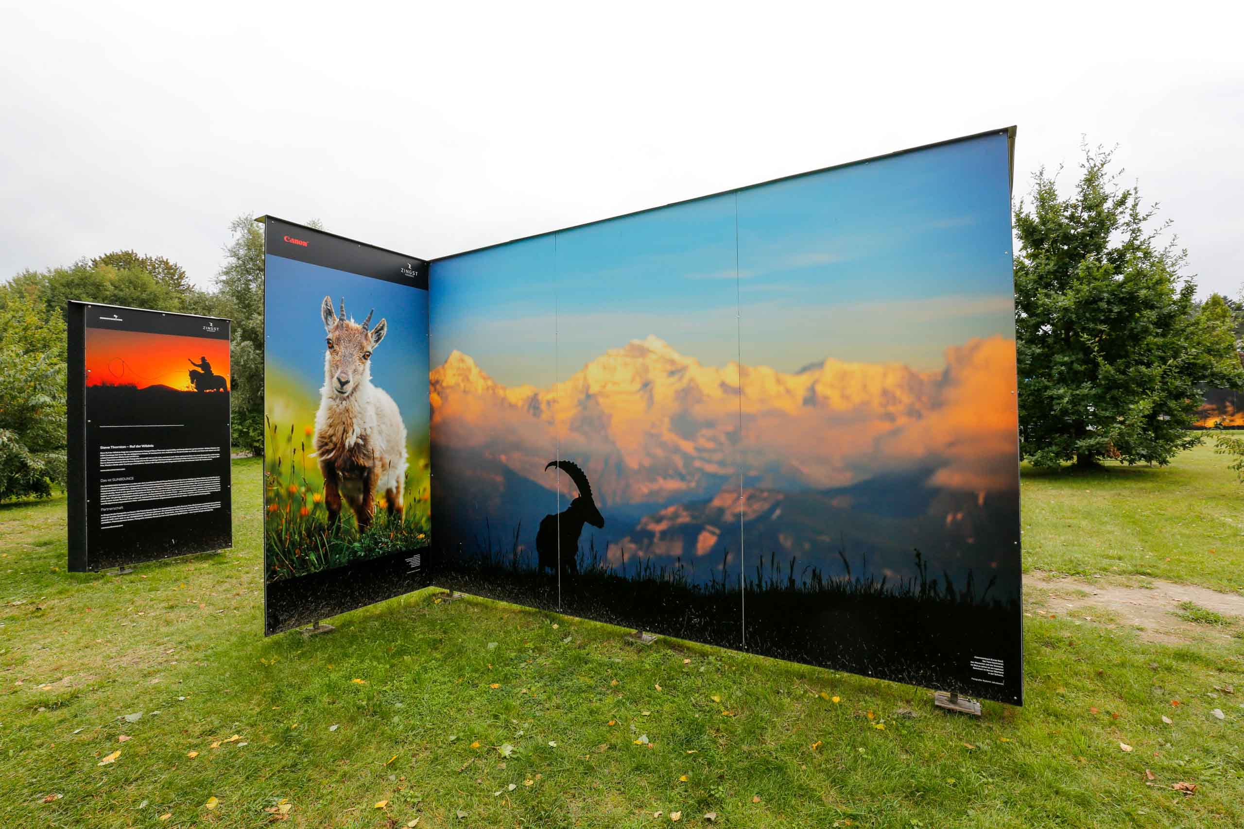 Beeindruckende Fotos in dieser Größe
