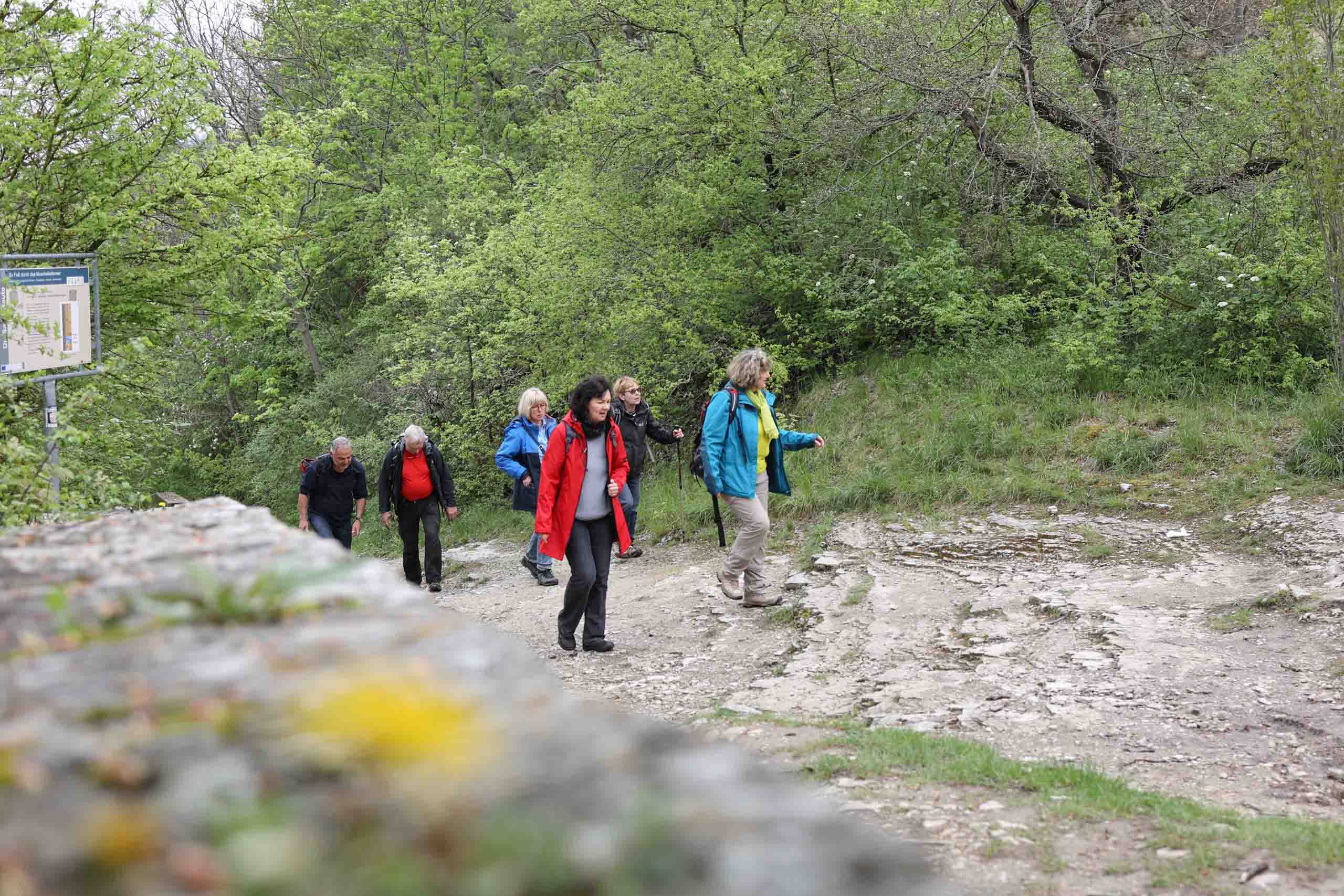 und langsam bekommt man