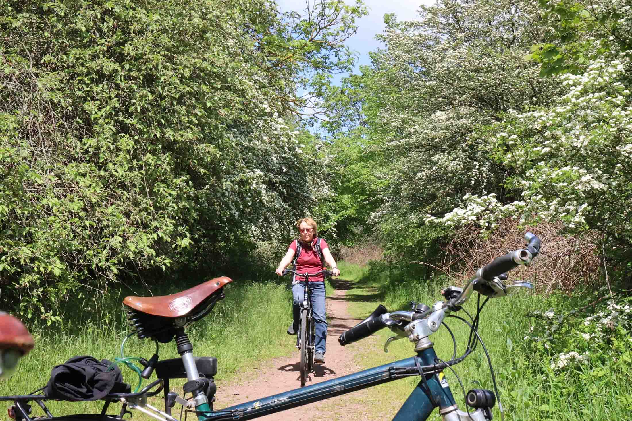 Wieder gemeinsam weiter